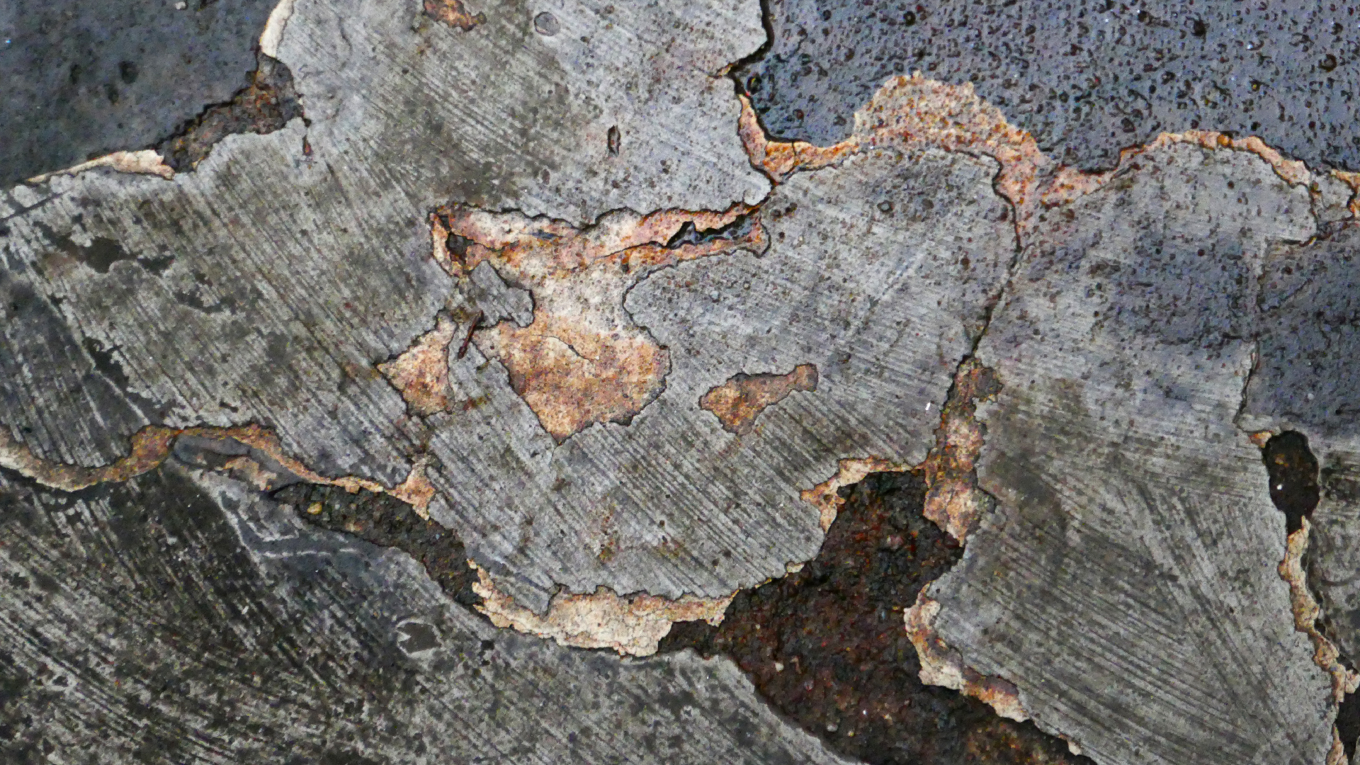 2022-08-19 Das Kleine Regen Rhythmus Orchester (Alublech) (Audio, Foto)