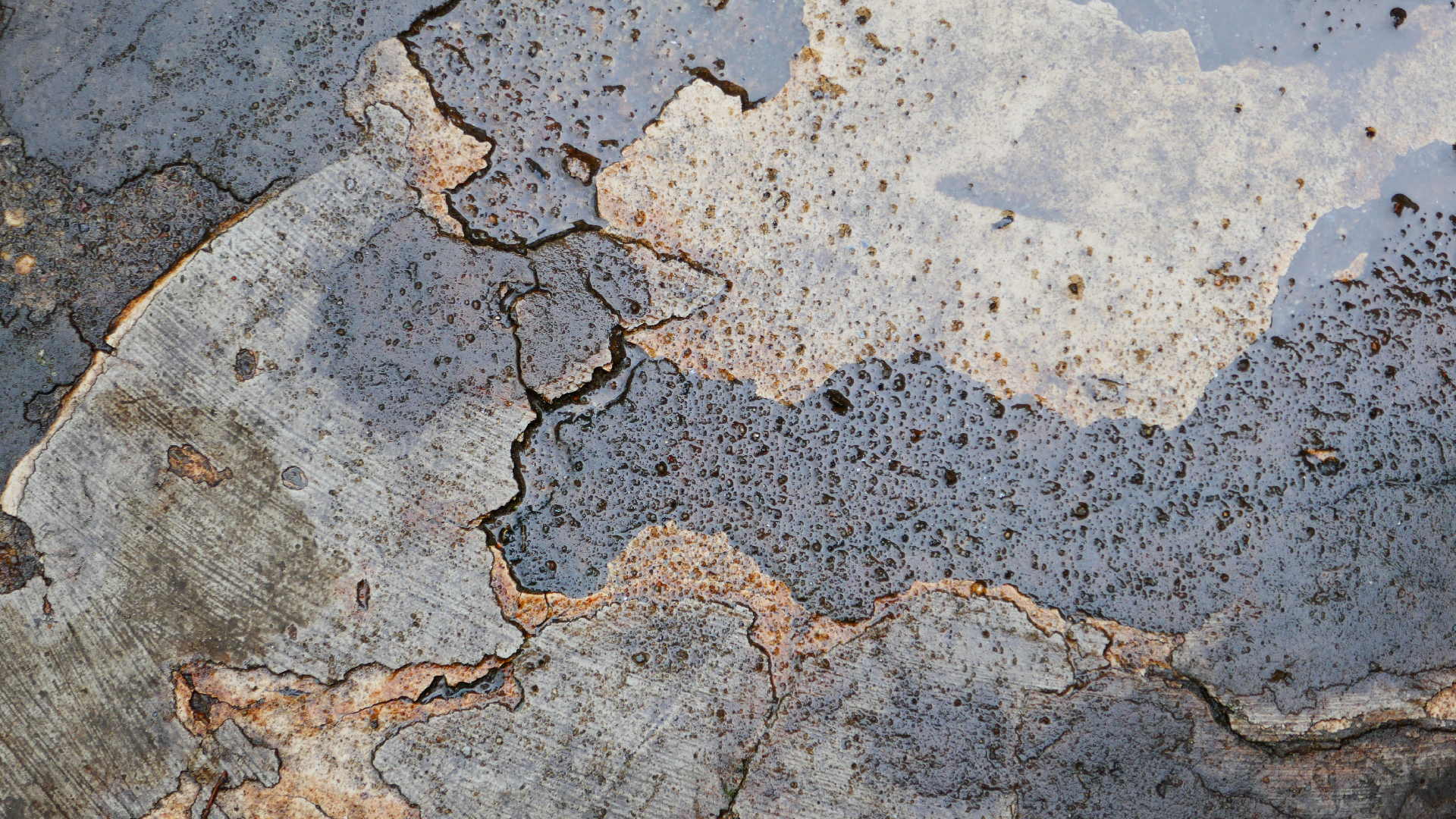 2022-08-19 Das Kleine Regen Rhythmus Orchester (Alublech) (Audio, Foto)