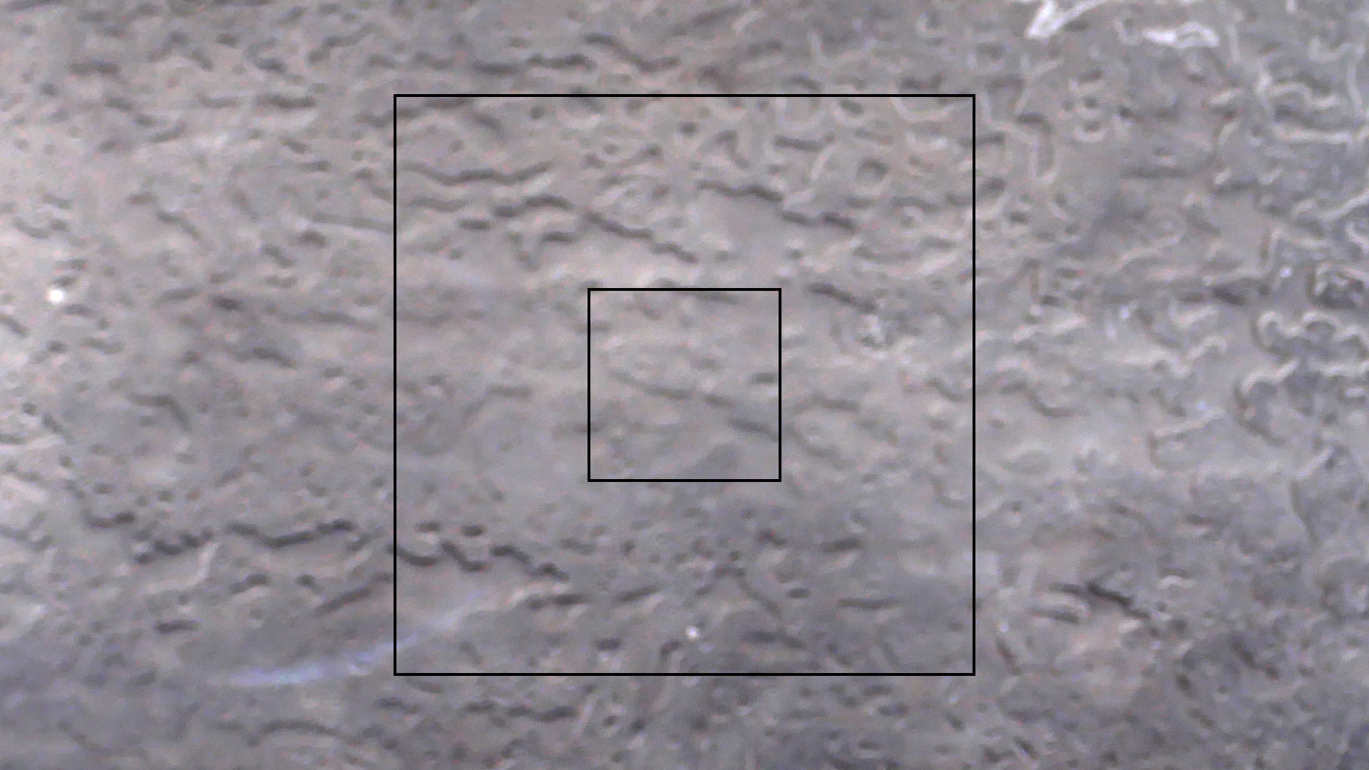 2022-08-27 Das Kleine Regen Rhythmus Orchester (Alublech, Federhall Errorcut) (Audio, Foto)