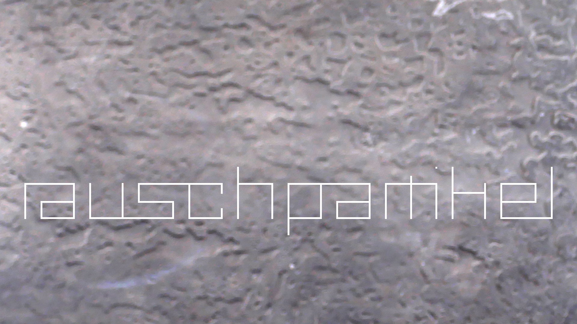 2022-08-27 Das Kleine Regen Rhythmus Orchester (Alublech, Federhall Errorcut) (Audio, Foto)