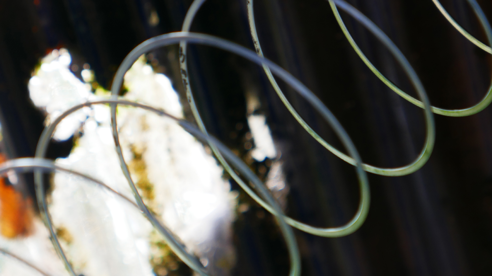 2022-08-27 Das Kleine Regen Rhythmus Orchester (Alublech, Federhall Errorcut) (Audio, Foto)