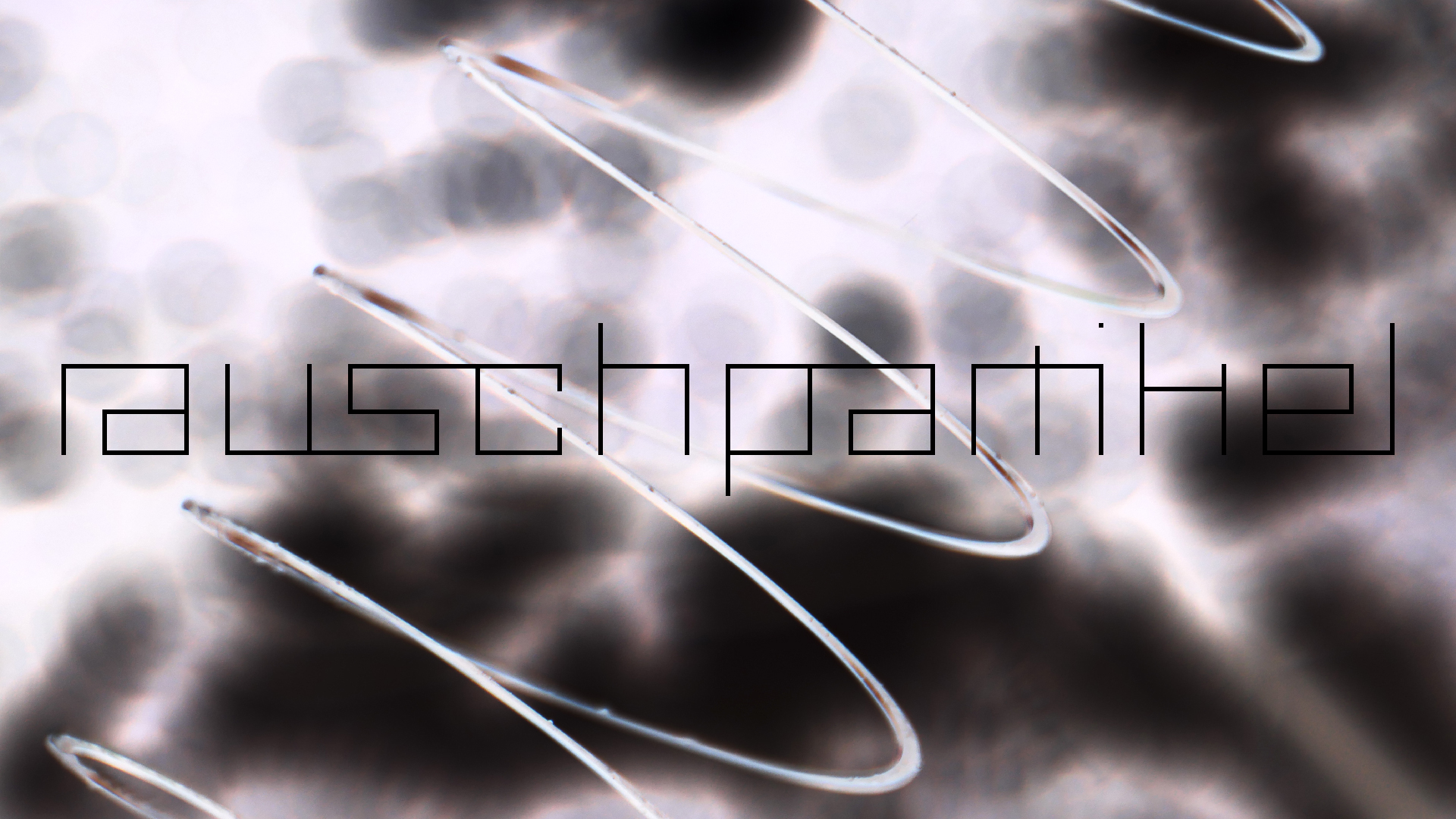 2022-08-27 Das Kleine Regen Rhythmus Orchester (Alublech, Federhall Errorcut) (Audio, Foto)