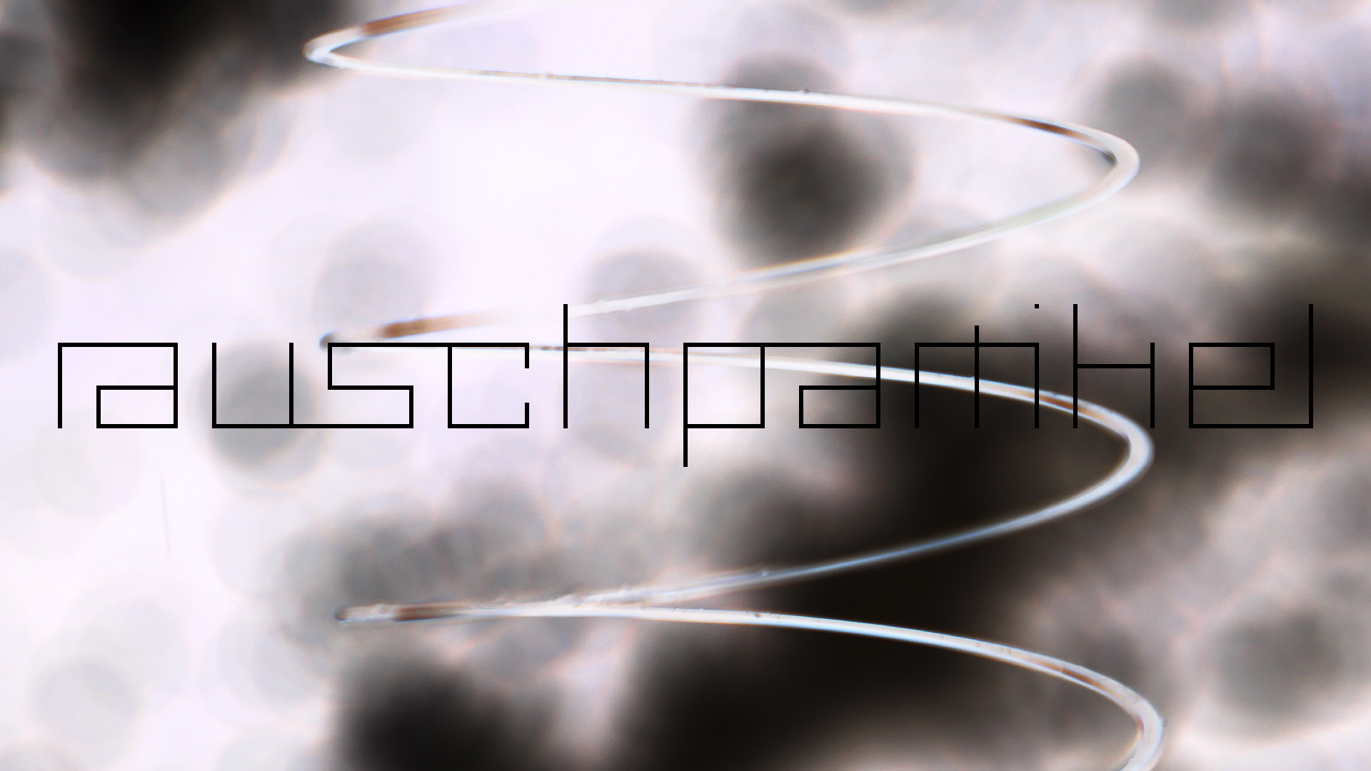 2022-08-27 Das Kleine Regen Rhythmus Orchester (Alublech, Federhall Errorcut) (Audio, Foto)