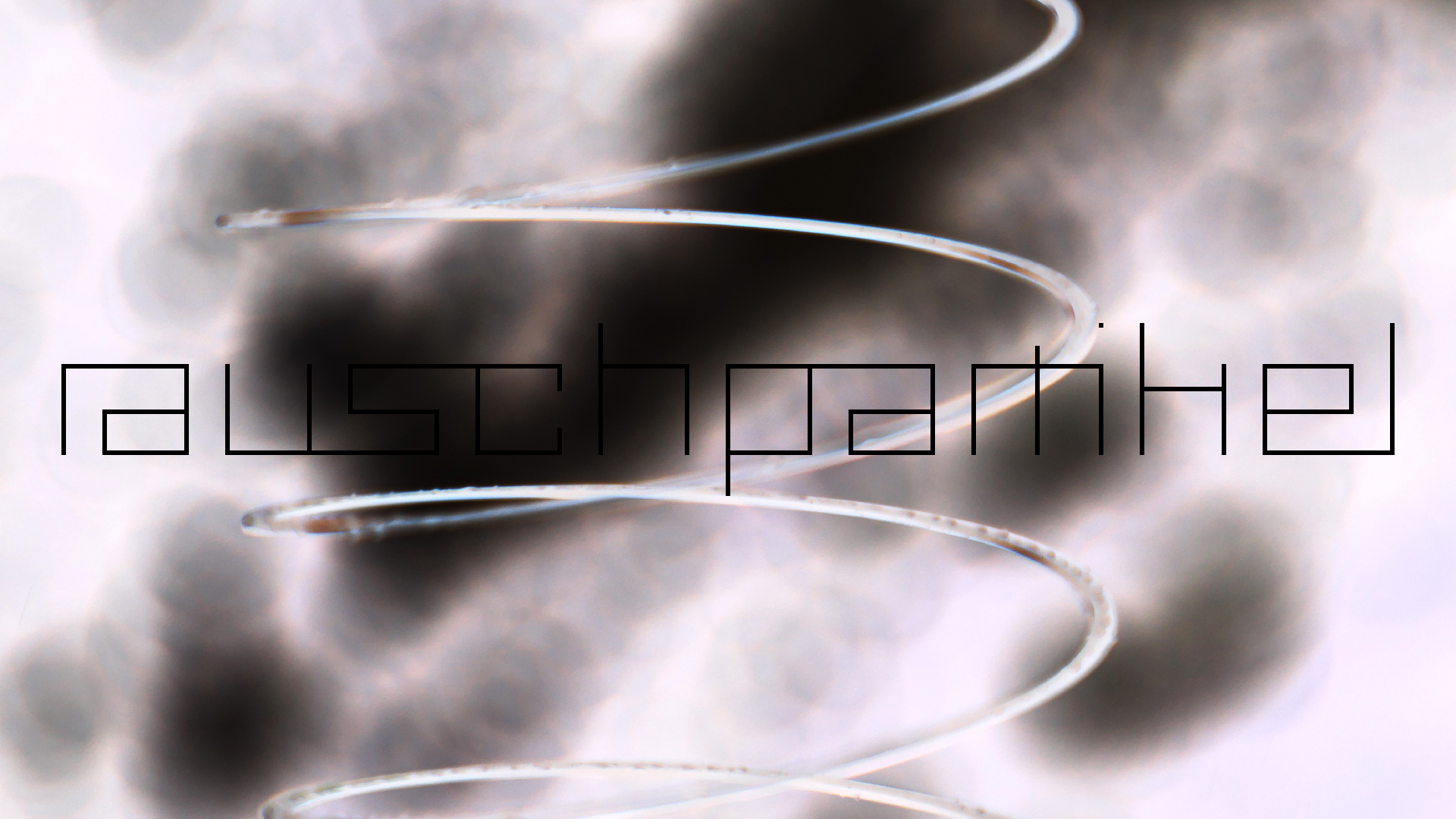 2022-08-27 Das Kleine Regen Rhythmus Orchester (Alublech, Federhall Errorcut) (Audio, Foto)