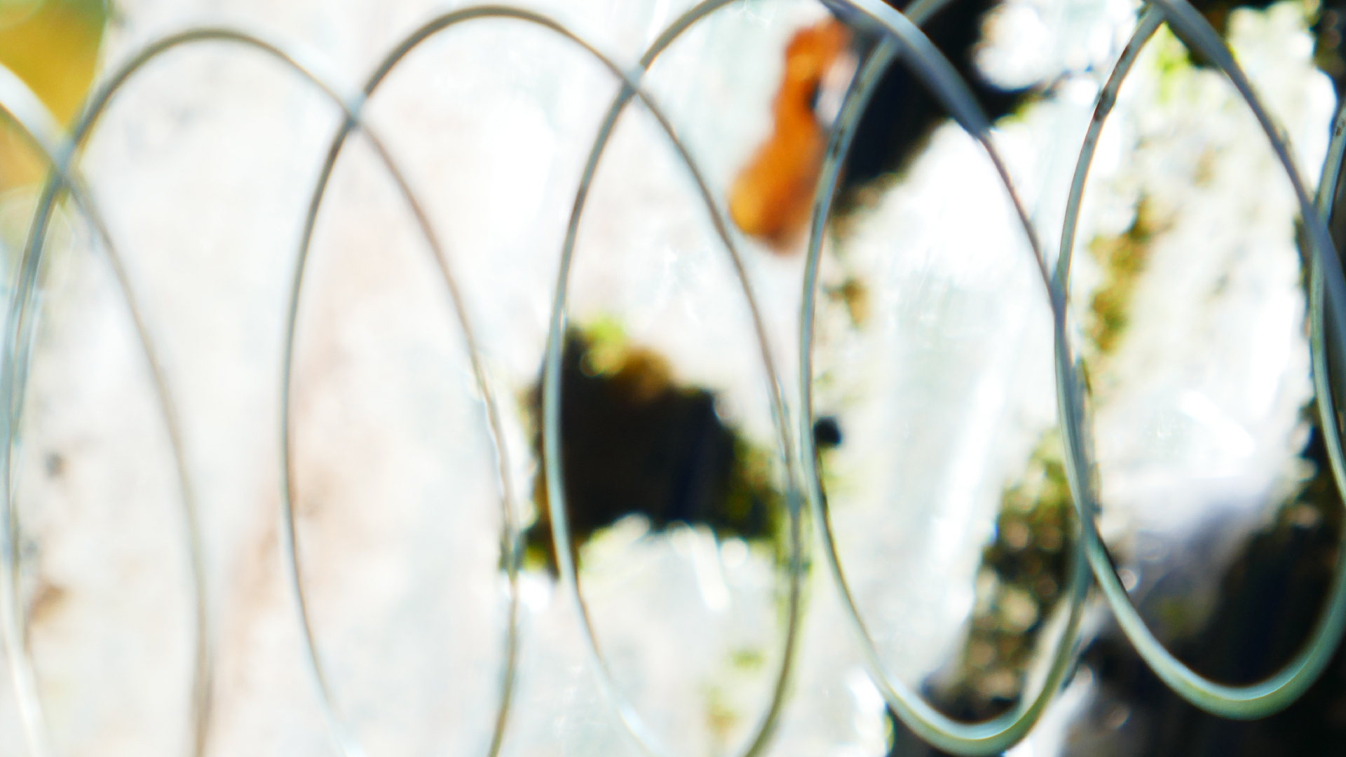 2022-08-27 Das Kleine Regen Rhythmus Orchester (Alublech, Federhall Errorcut) (Audio, Foto)