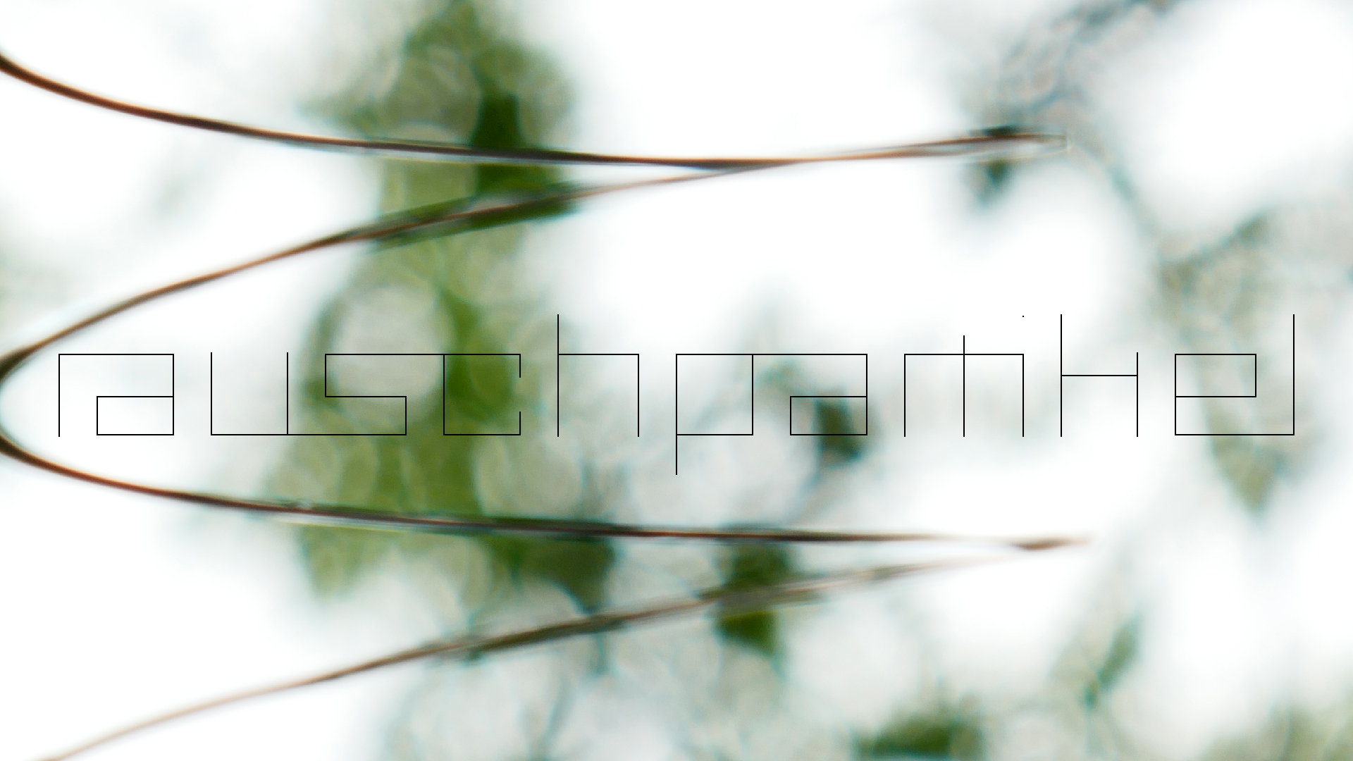 2022-08-27 Das Kleine Regen Rhythmus Orchester (Alublech, Federhall Errorcut) (Audio, Foto)