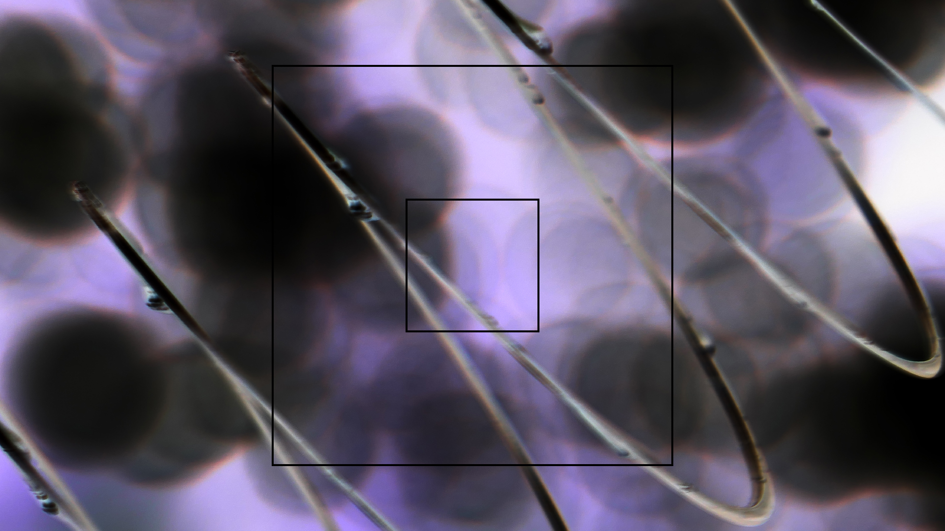 2022-08-27 Das Kleine Regen Rhythmus Orchester (Alublech, Federhall Errorcut) (Audio, Foto)