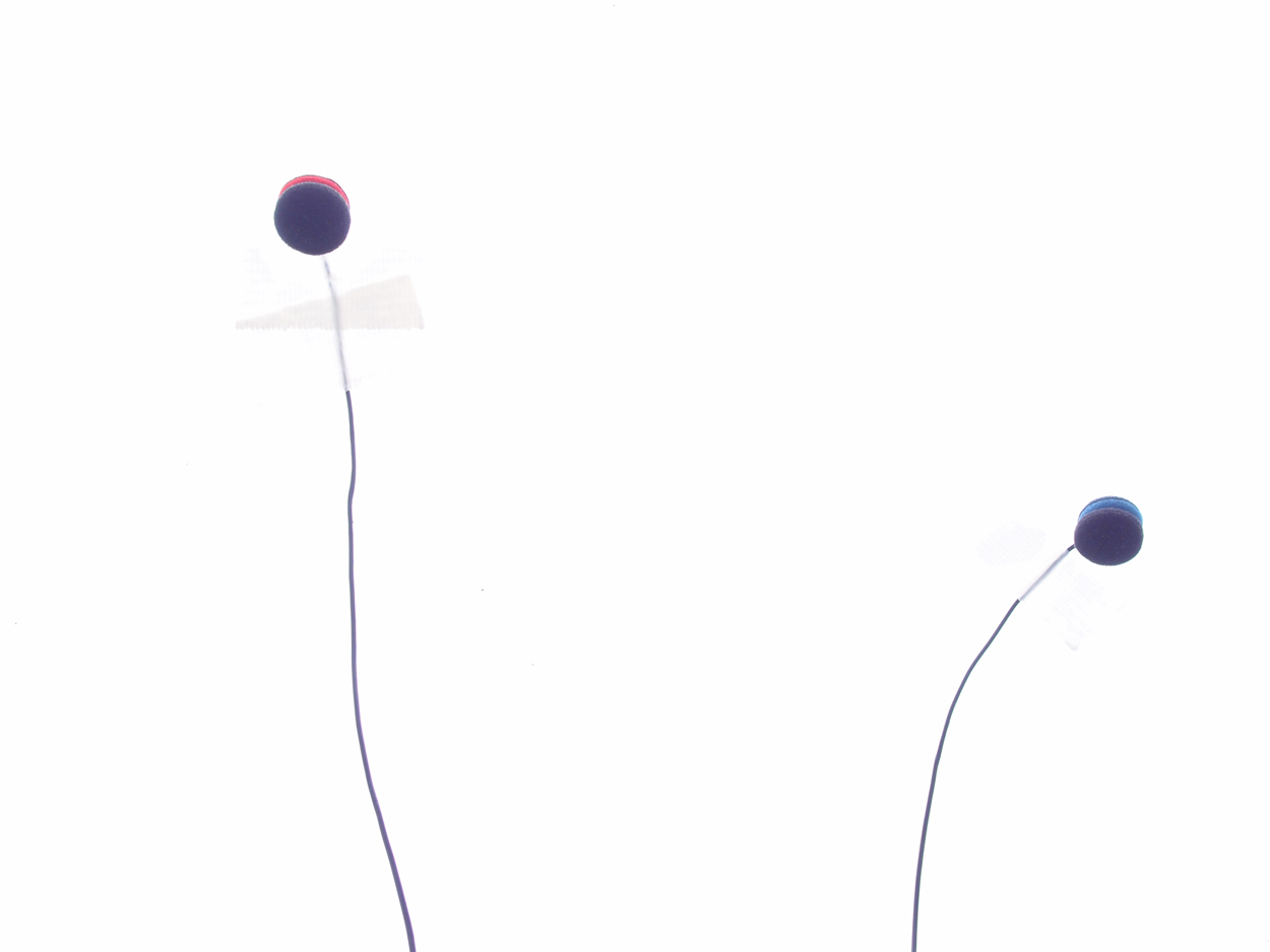 temporäres rauschpartikel Studio Weserstr. 54