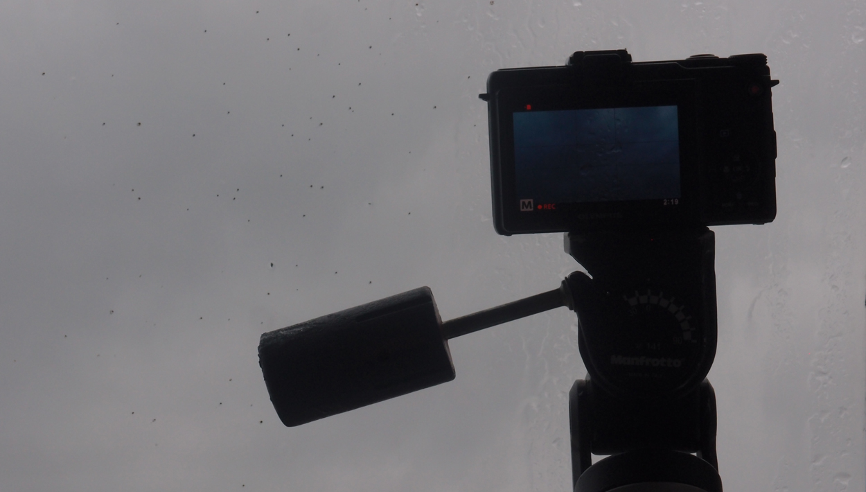 Regen auf Dachflächenfenstern (6 Kanal Audio/ Video)