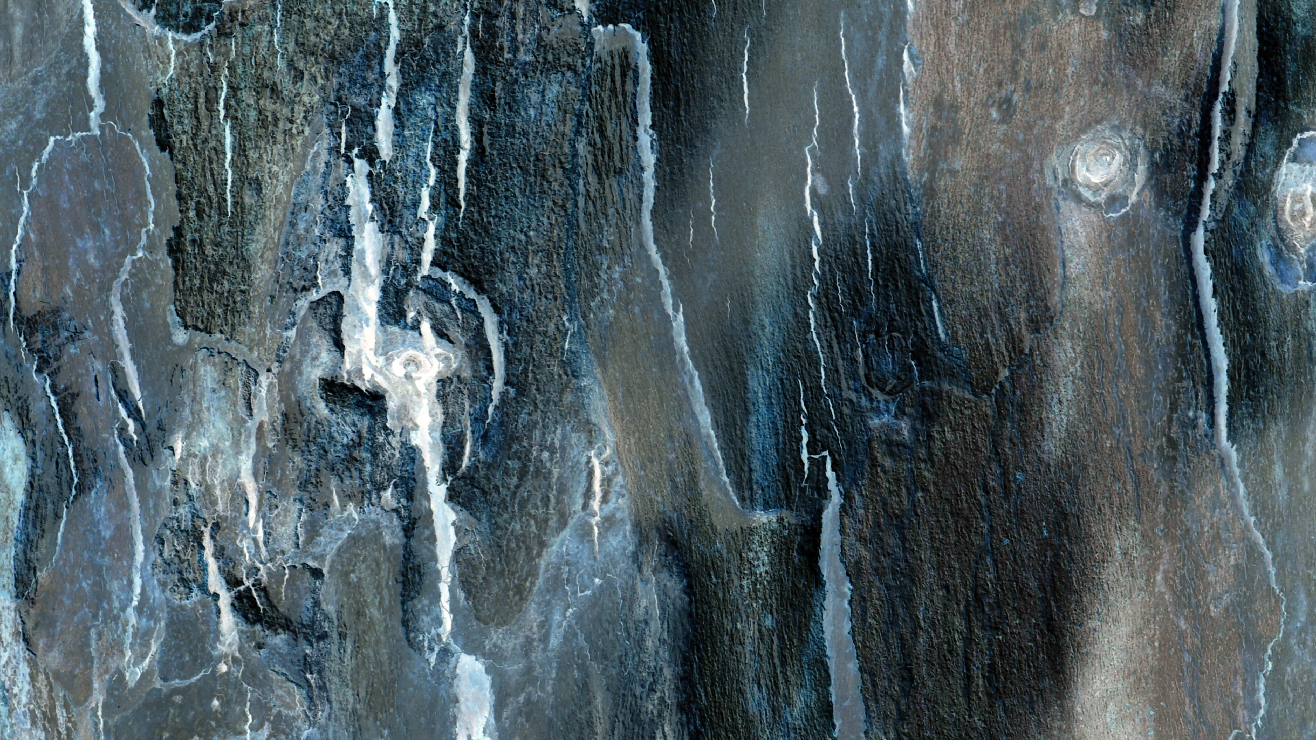 2021-09-07 02 Zikaden (Parasporos Abfahrt 2) (Foto, Fieldrecording)