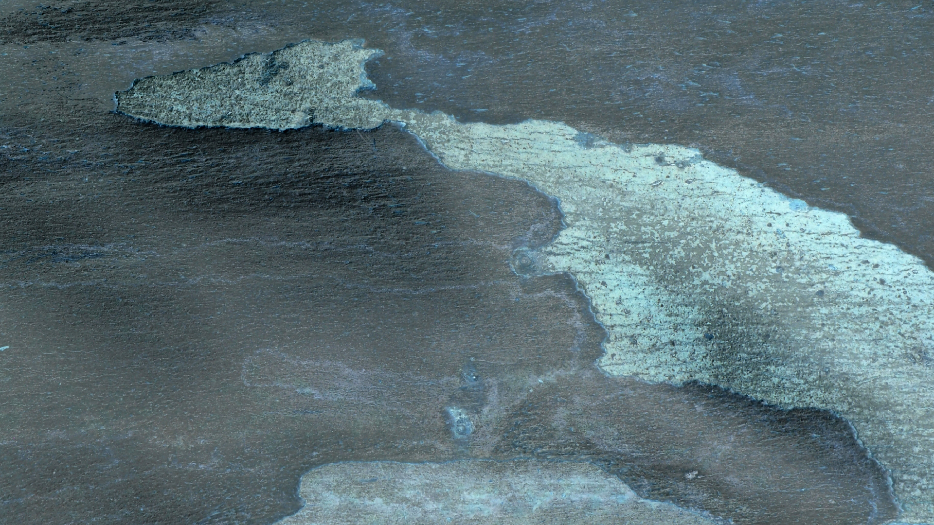 2021-09-07 02 Zikaden (Parasporos Abfahrt 2) (Foto, Fieldrecording)