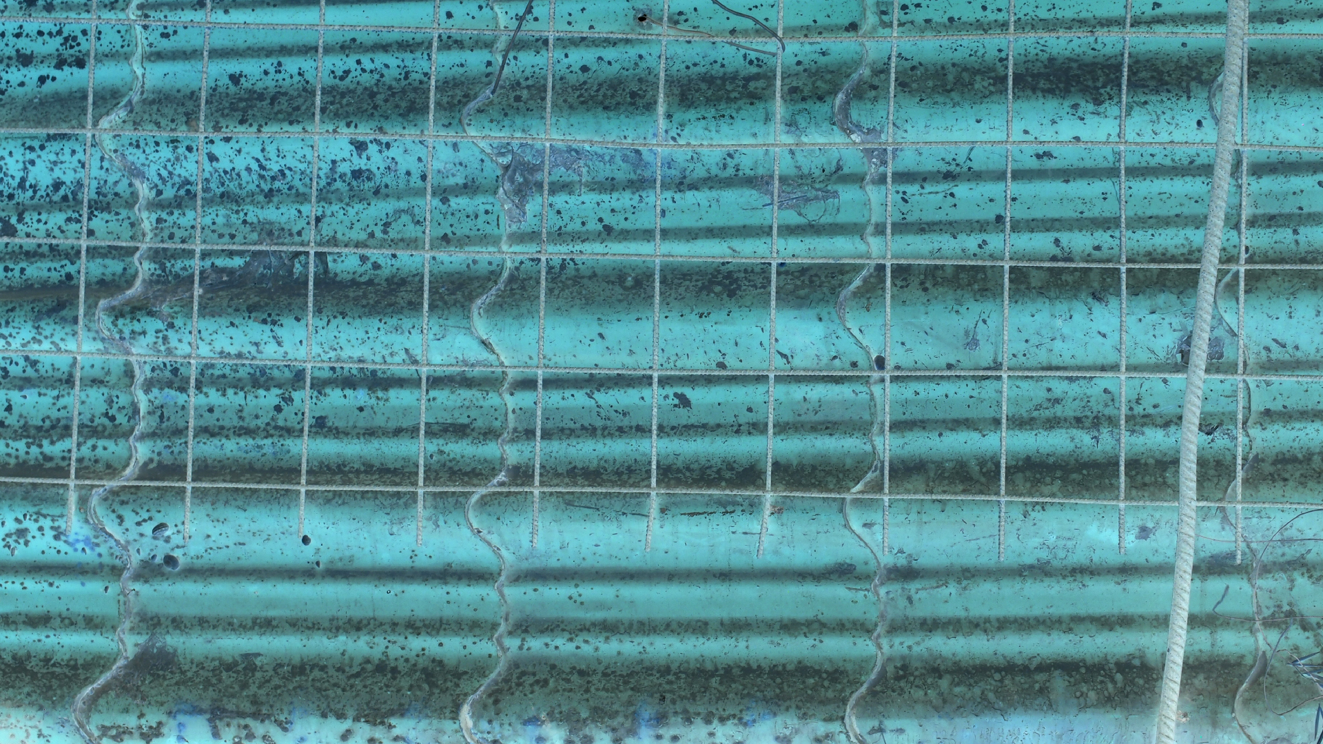 2021-09-07 02 Zikaden (Parasporos Abfahrt 2) (Foto, Fieldrecording)