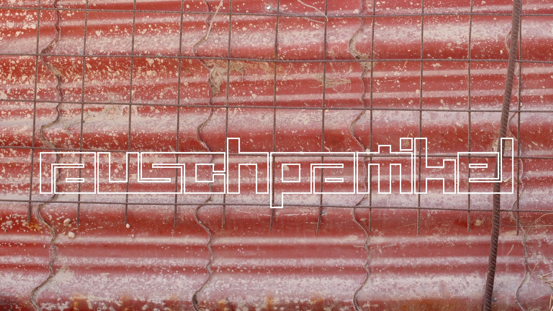 2021-09-07 02 Zikaden (Parasporos Abfahrt 2) (Foto, Fieldrecording)