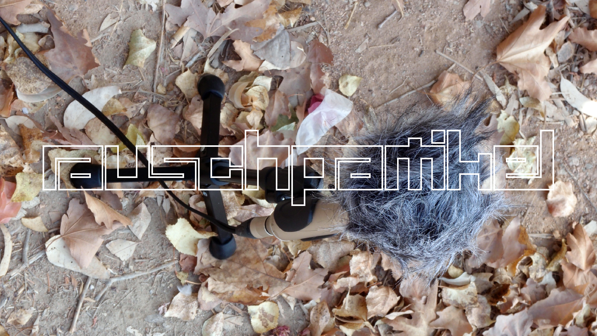 2021-09-07 02 Zikaden (Parasporos Abfahrt 2) (Foto, Fieldrecording)