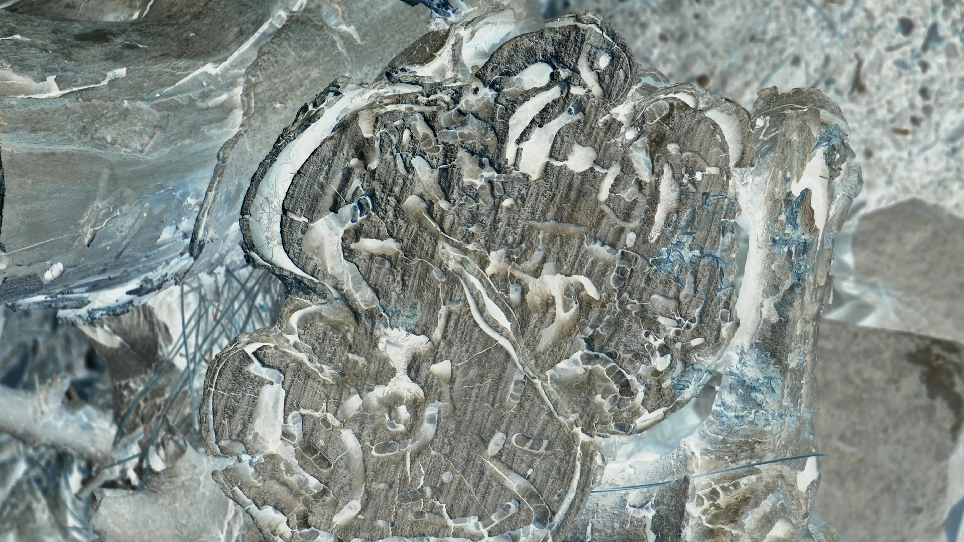 2021-09-08 01 auf der Klippe (Krios Beach) (Foto, Fieldrecording, Video)