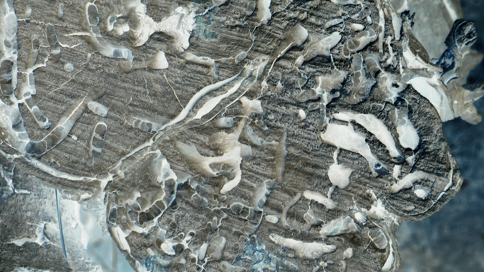 2021-09-08 01 auf der Klippe (Krios Beach) (Foto, Fieldrecording, Video)