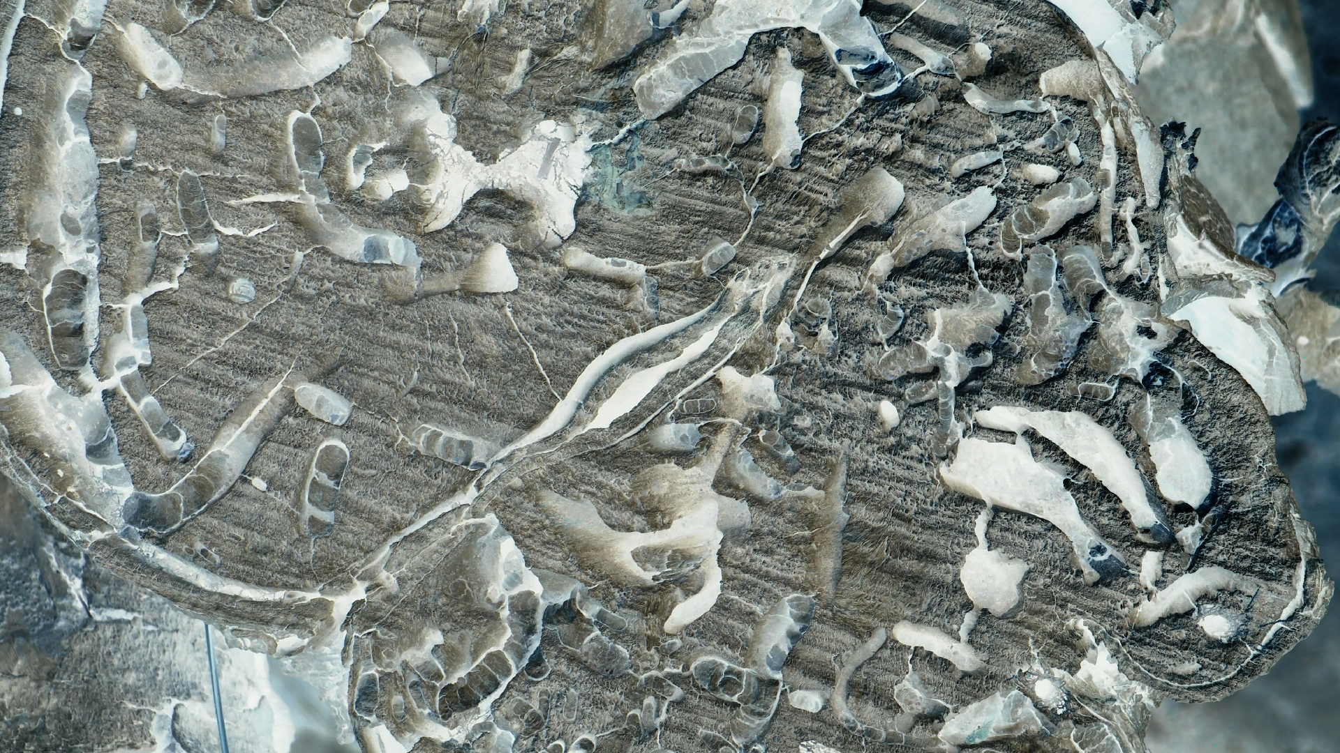 2021-09-08 01 auf der Klippe (Krios Beach) (Foto, Fieldrecording, Video)