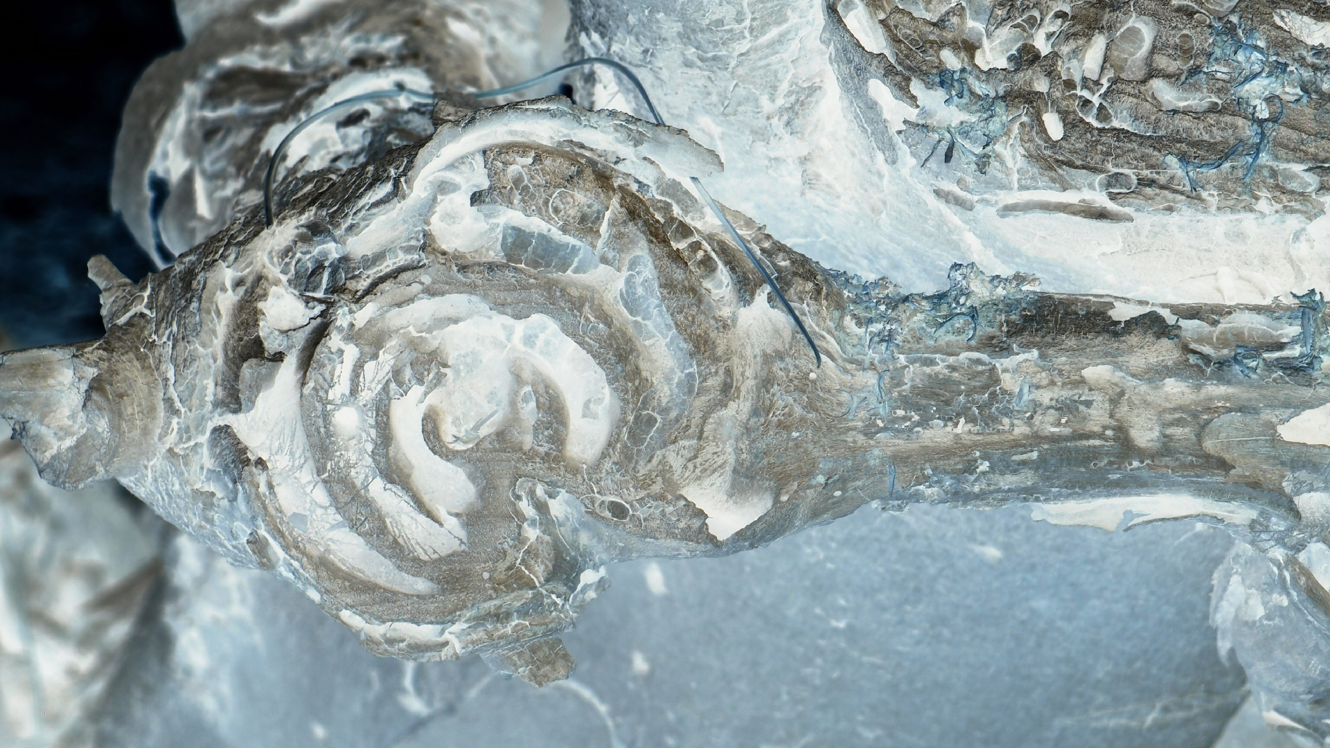 2021-09-08 01 auf der Klippe (Krios Beach) (Foto, Fieldrecording, Video)