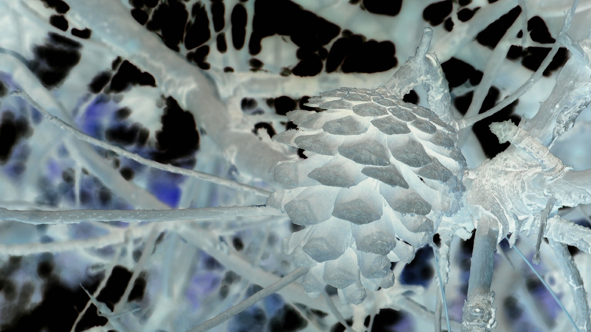 2021-09-08 01 auf der Klippe (Krios Beach) (Foto, Fieldrecording, Video)