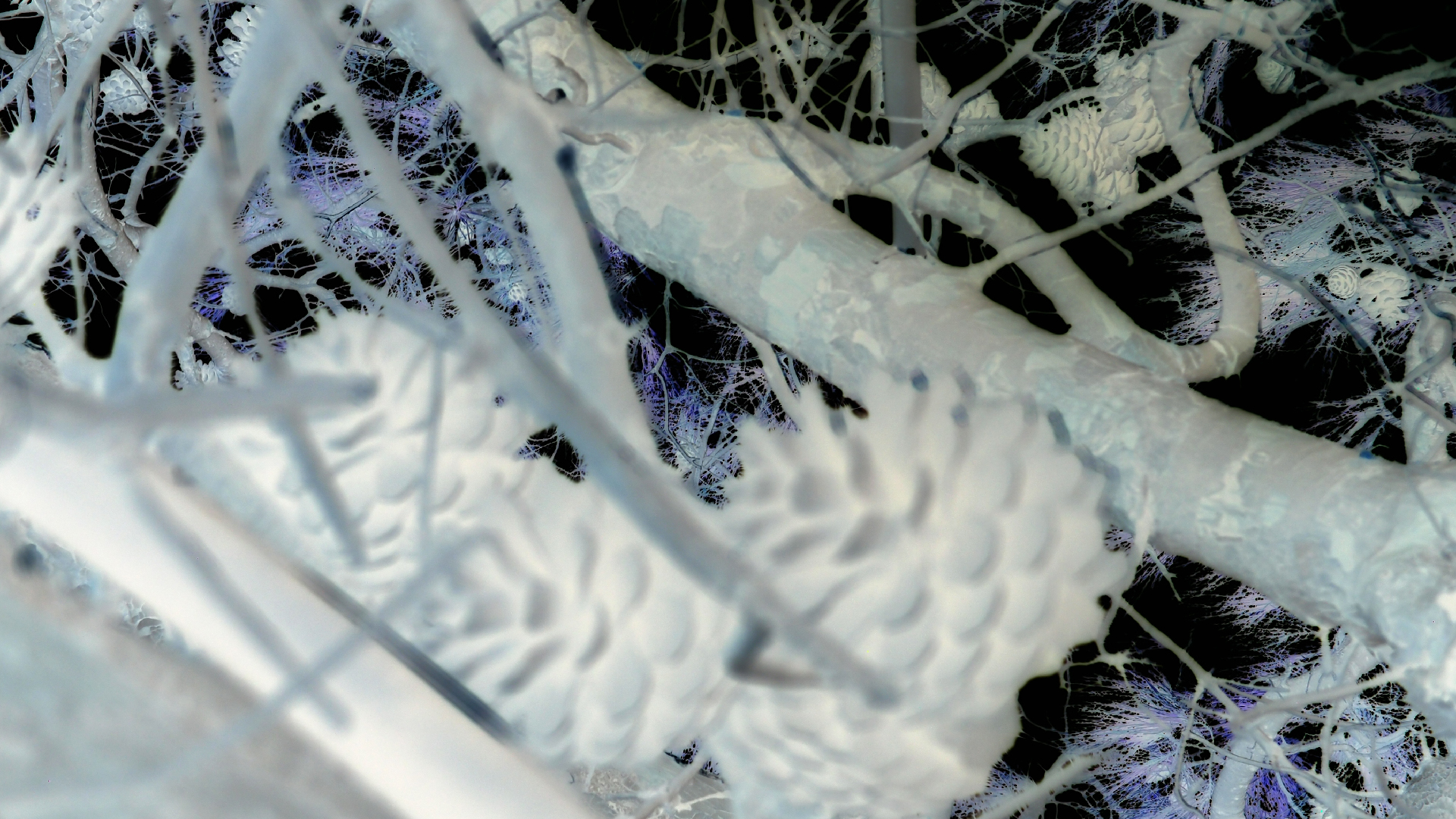 2021-09-08 01 auf der Klippe (Krios Beach) (Foto, Fieldrecording, Video)