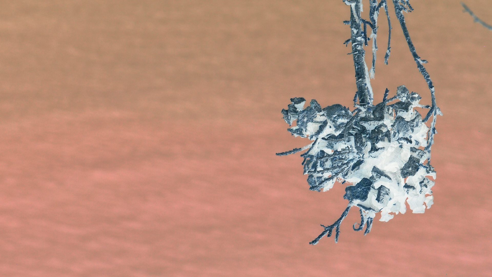 2021-09-08 01 auf der Klippe (Krios Beach) (Foto, Fieldrecording, Video)