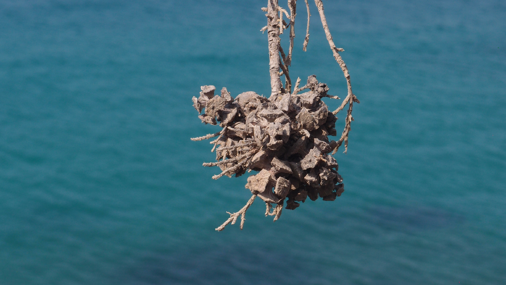 2021-09-08 01 auf der Klippe (Krios Beach) (Foto, Fieldrecording, Video)