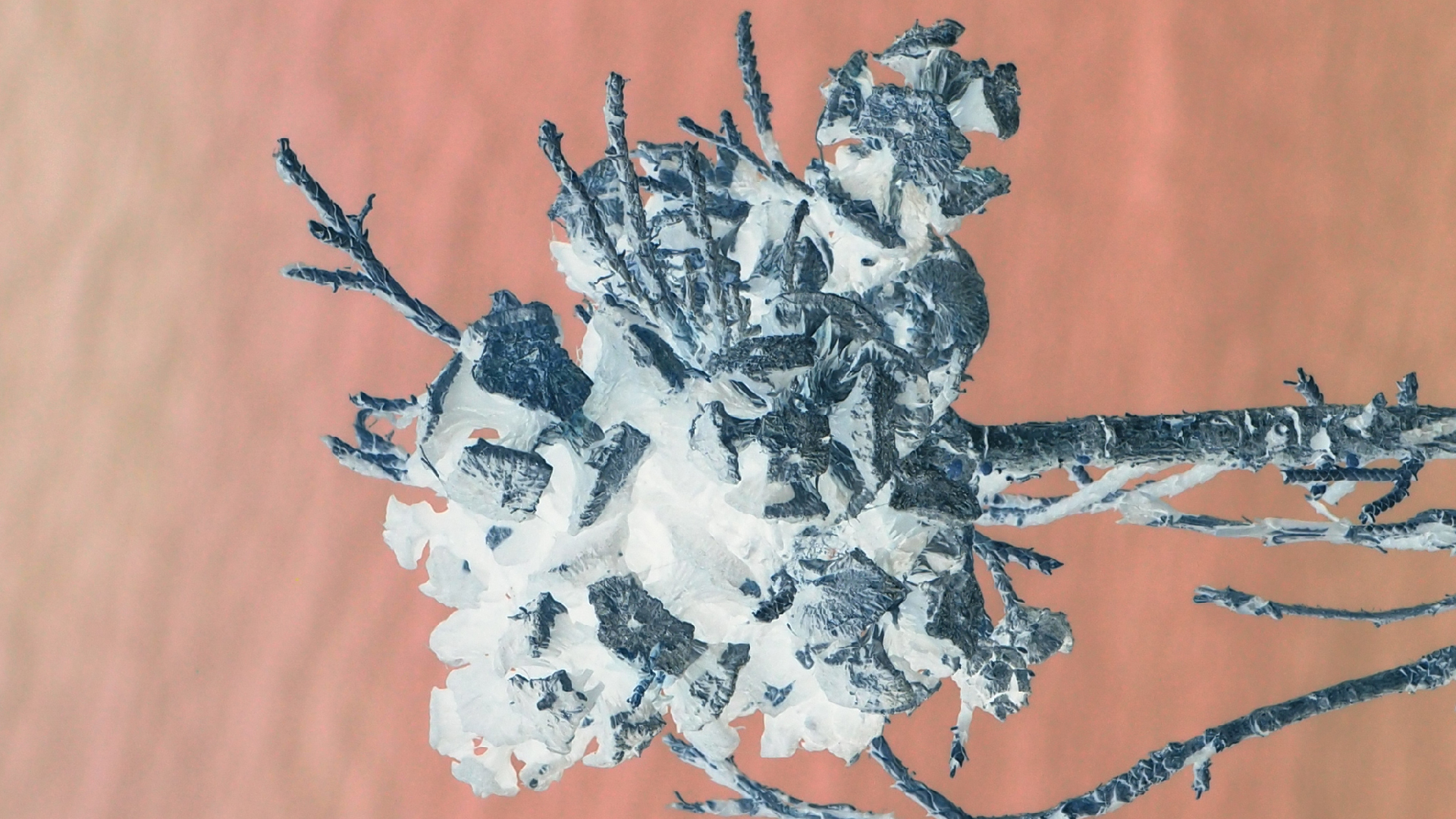 2021-09-08 01 auf der Klippe (Krios Beach) (Foto, Fieldrecording, Video)