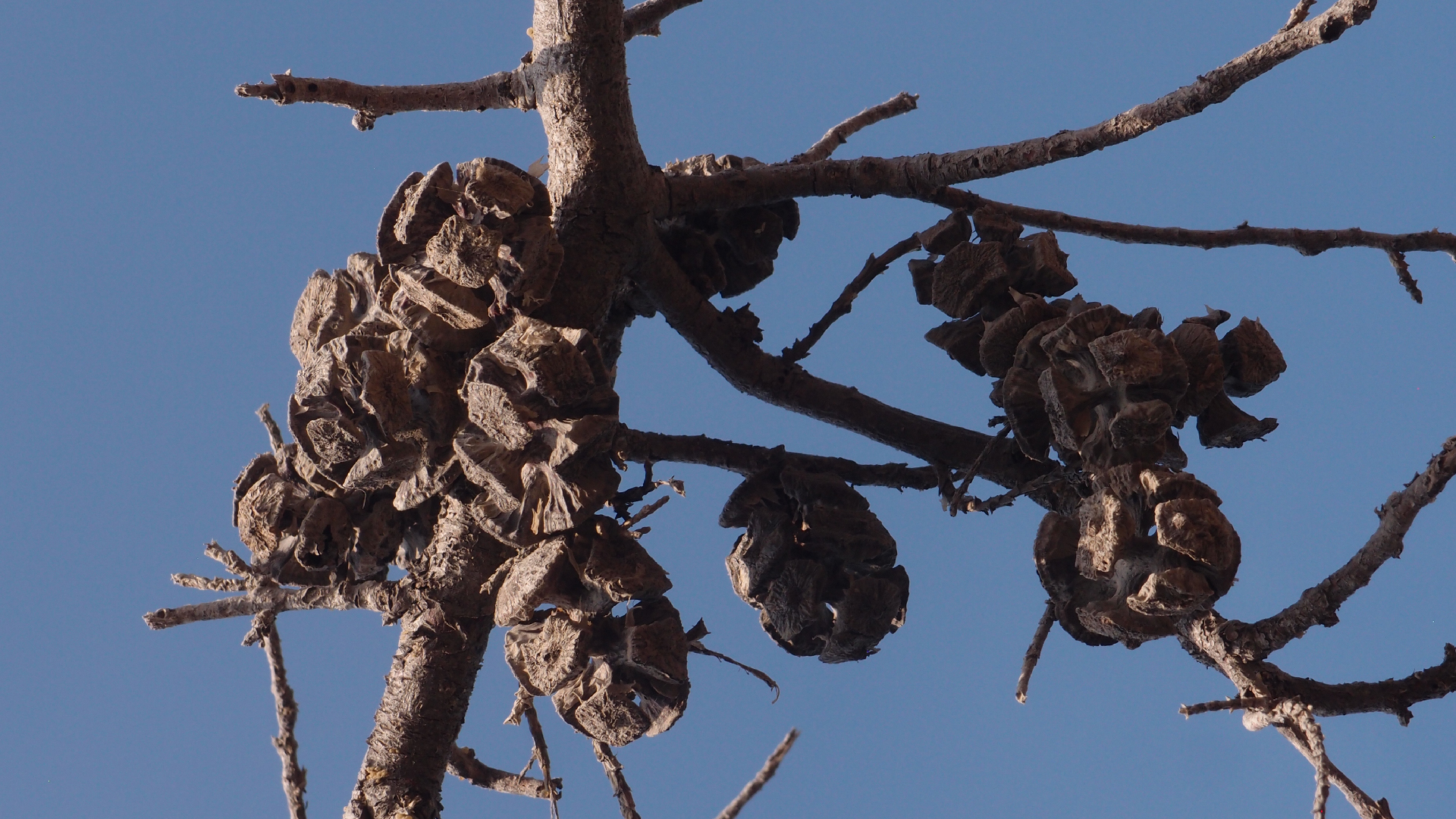 2021-09-08 01 auf der Klippe (Krios Beach) (Foto, Fieldrecording, Video)