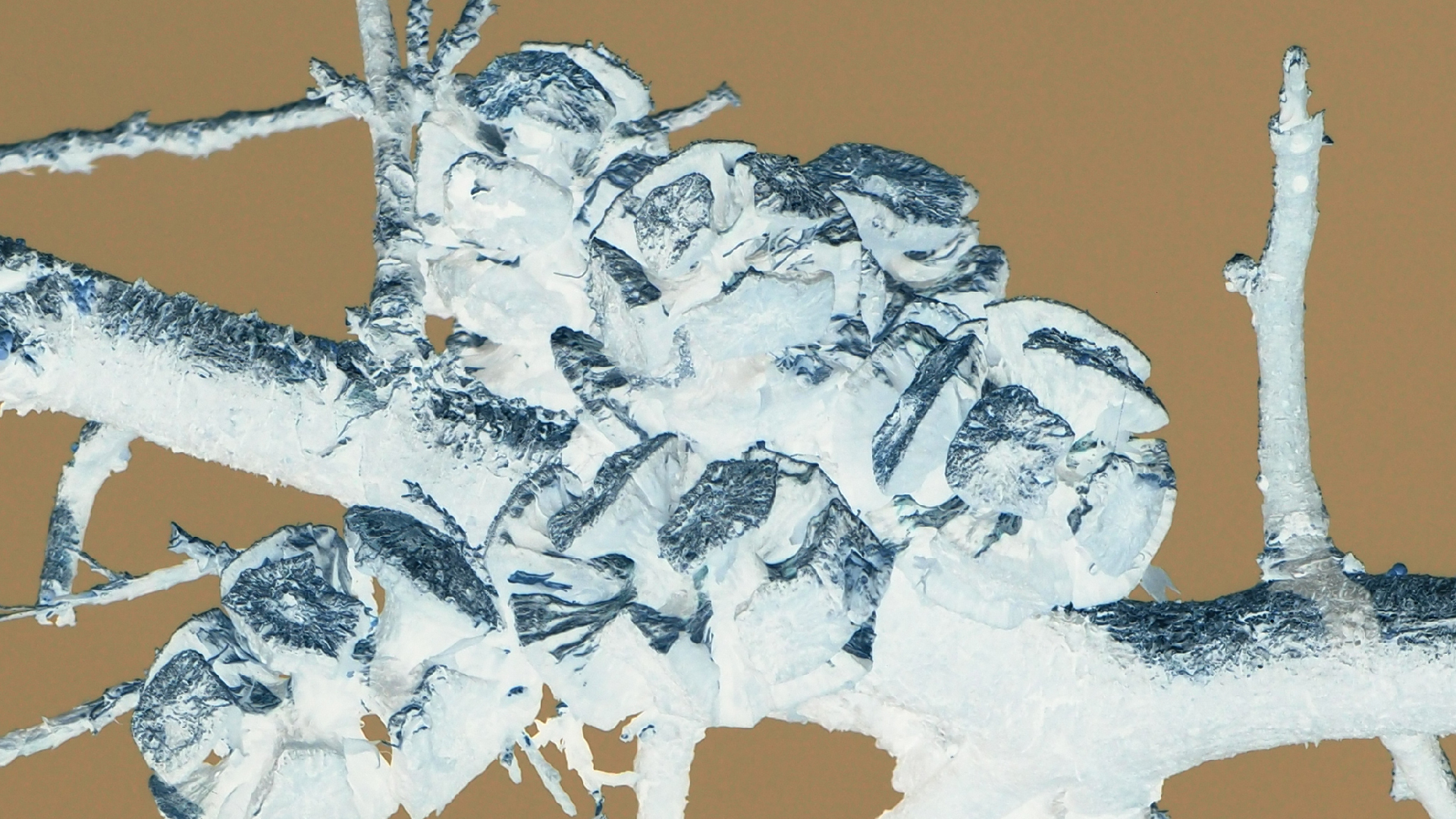 2021-09-08 01 auf der Klippe (Krios Beach) (Foto, Fieldrecording, Video)