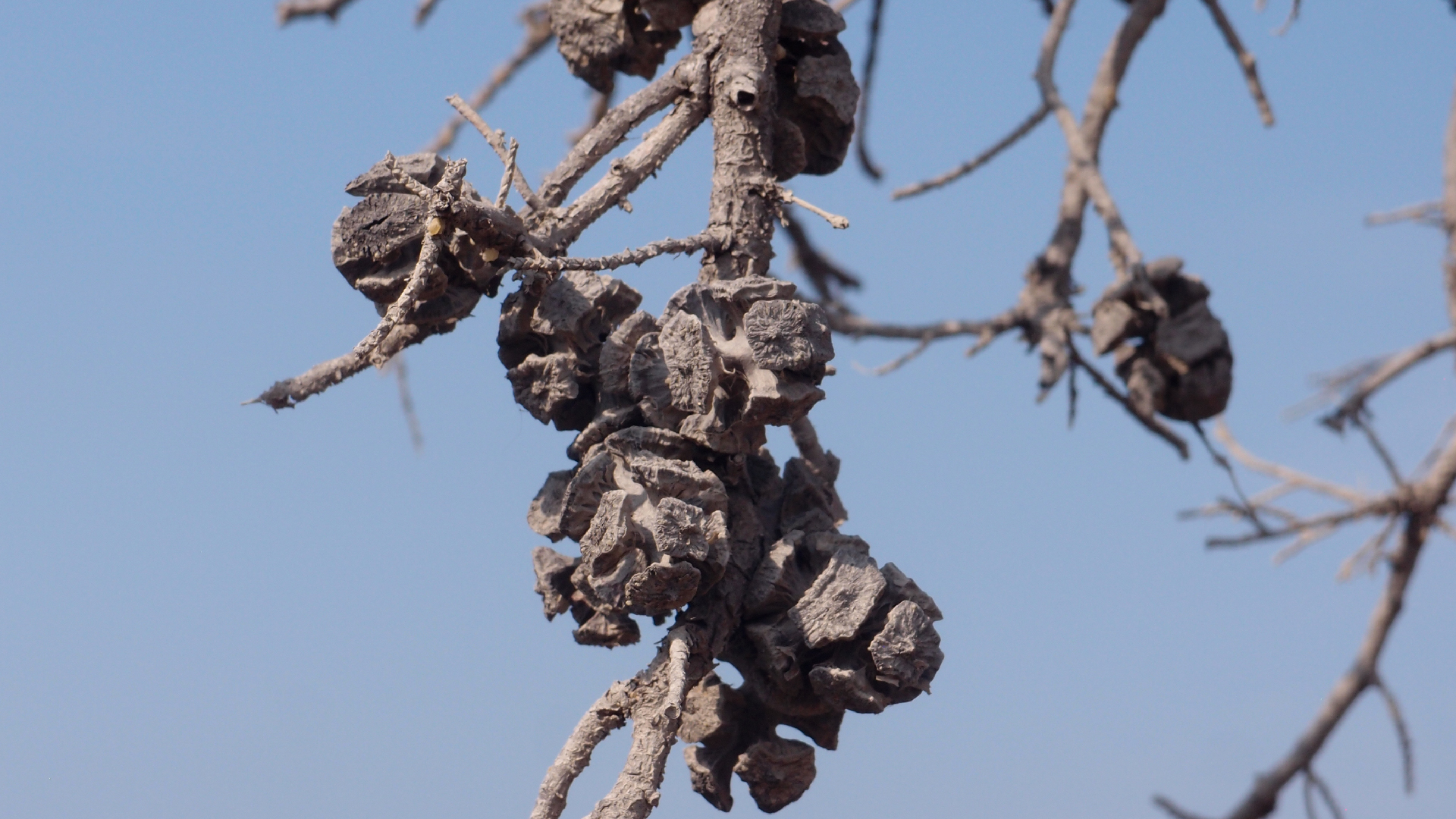 2021-09-08 01 auf der Klippe (Krios Beach) (Foto, Fieldrecording, Video)