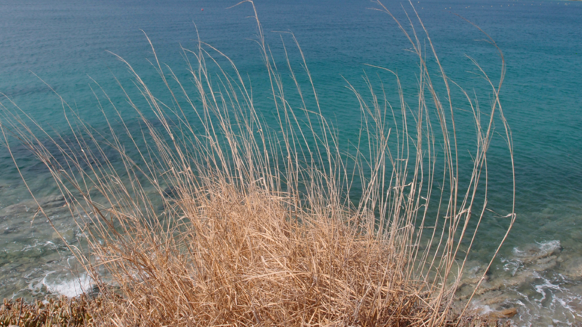 2021-09-08 01 auf der Klippe (Krios Beach) (Foto, Fieldrecording, Video)