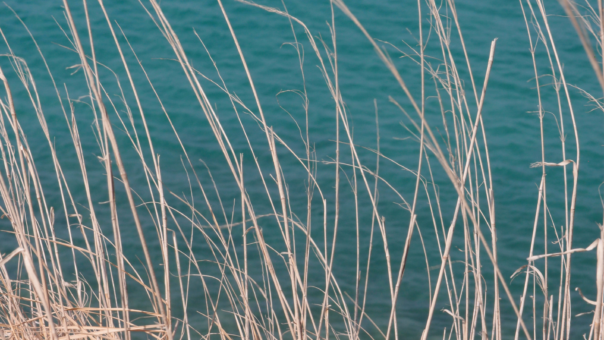 2021-09-08 01 auf der Klippe (Krios Beach) (Foto, Fieldrecording, Video)