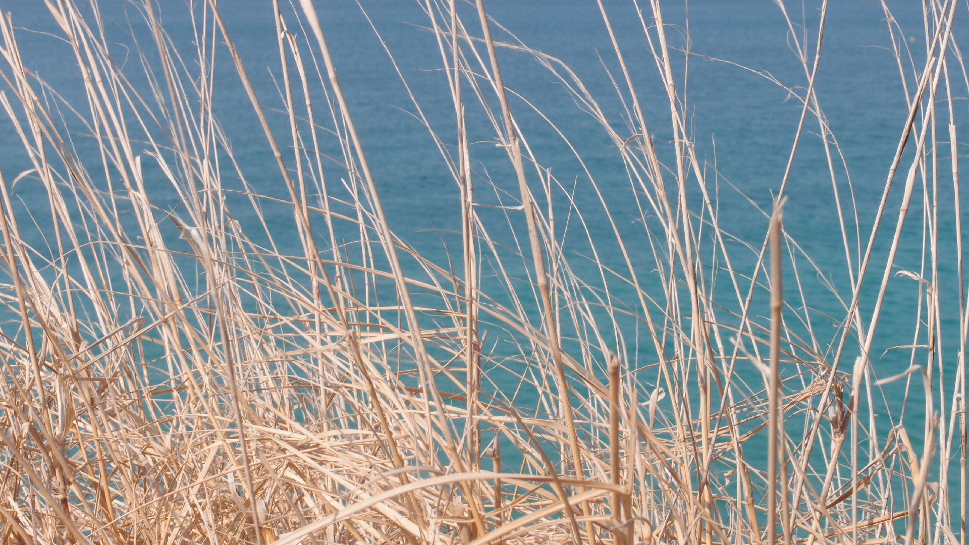 2021-09-08 01 auf der Klippe (Krios Beach) (Foto, Fieldrecording, Video)