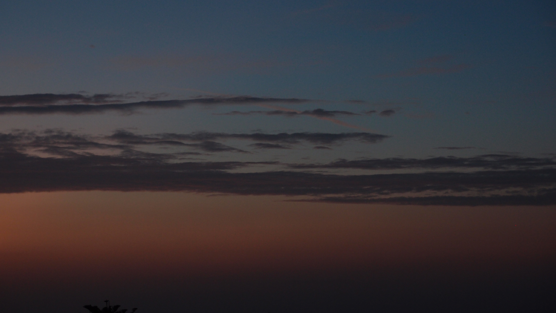 2021-09-08 03 an der Promenade (Foto)  