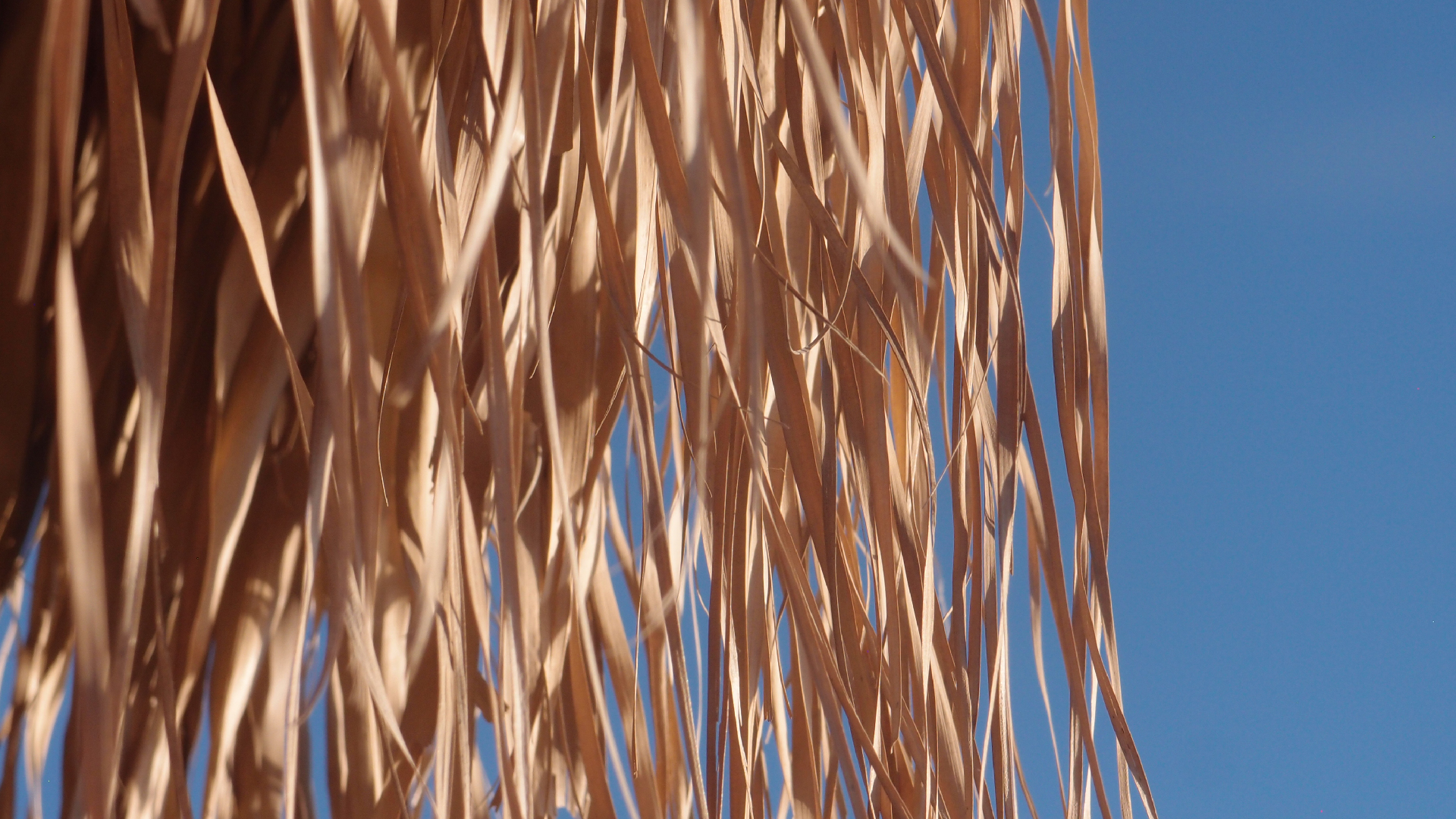 2021-09-11 02 Krios Beach (Foto, Video)