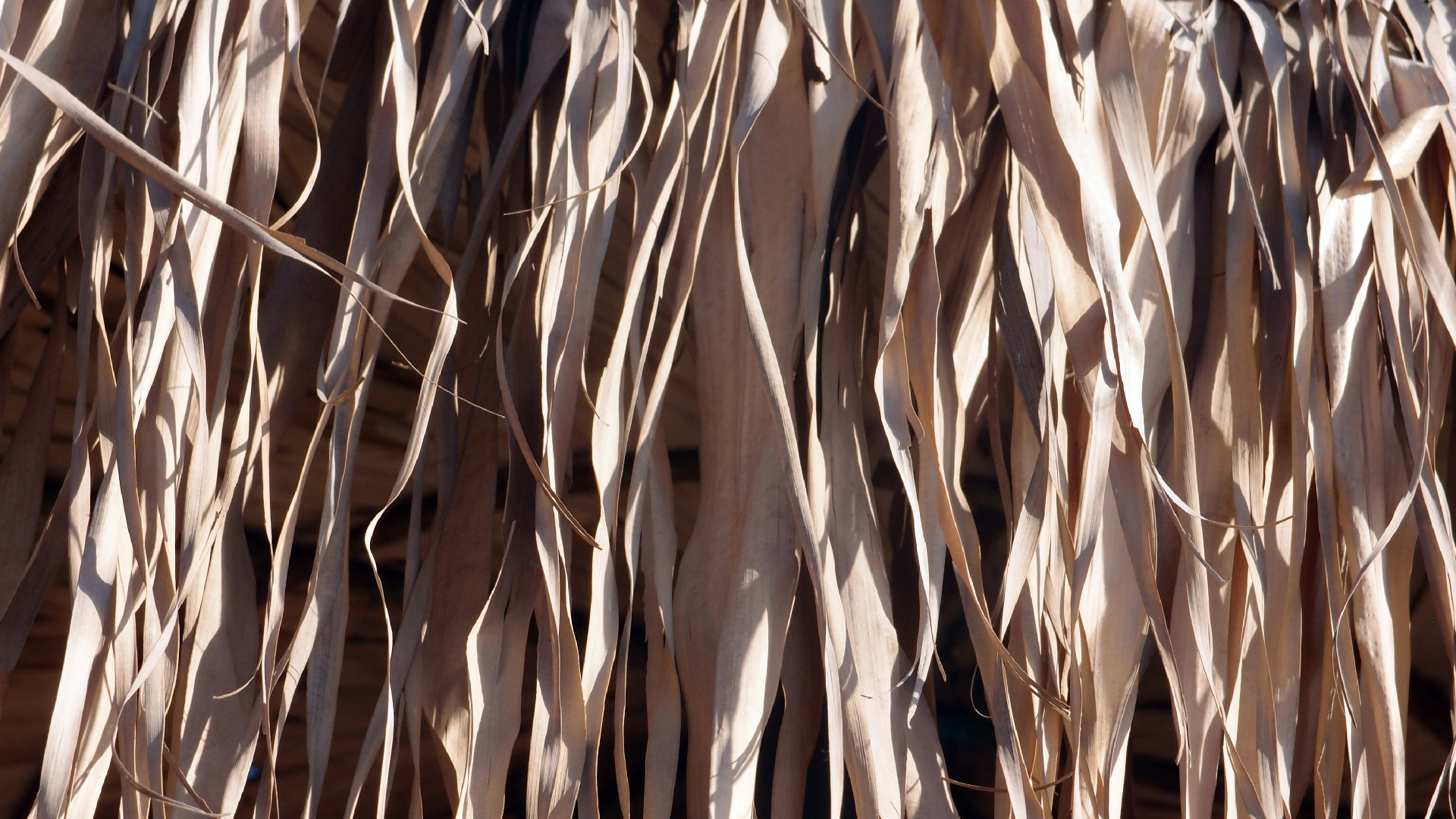 2021-09-11 02 Krios Beach (Foto, Video)