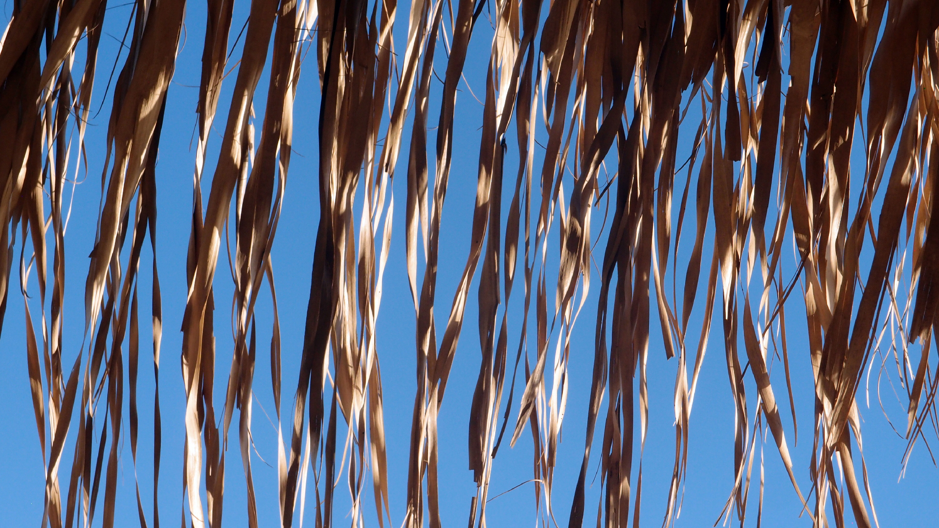 2021-09-11 02 Krios Beach (Foto, Video)