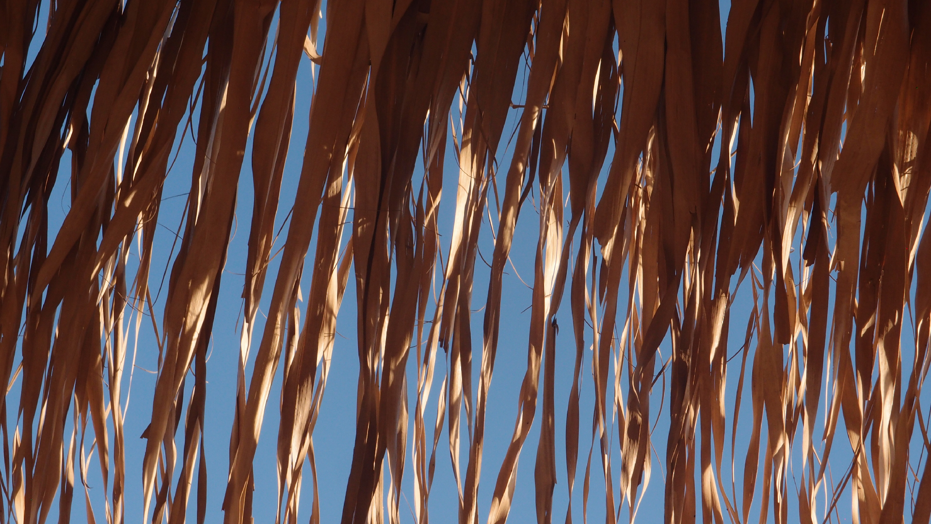 2021-09-11 02 Krios Beach (Foto, Video)