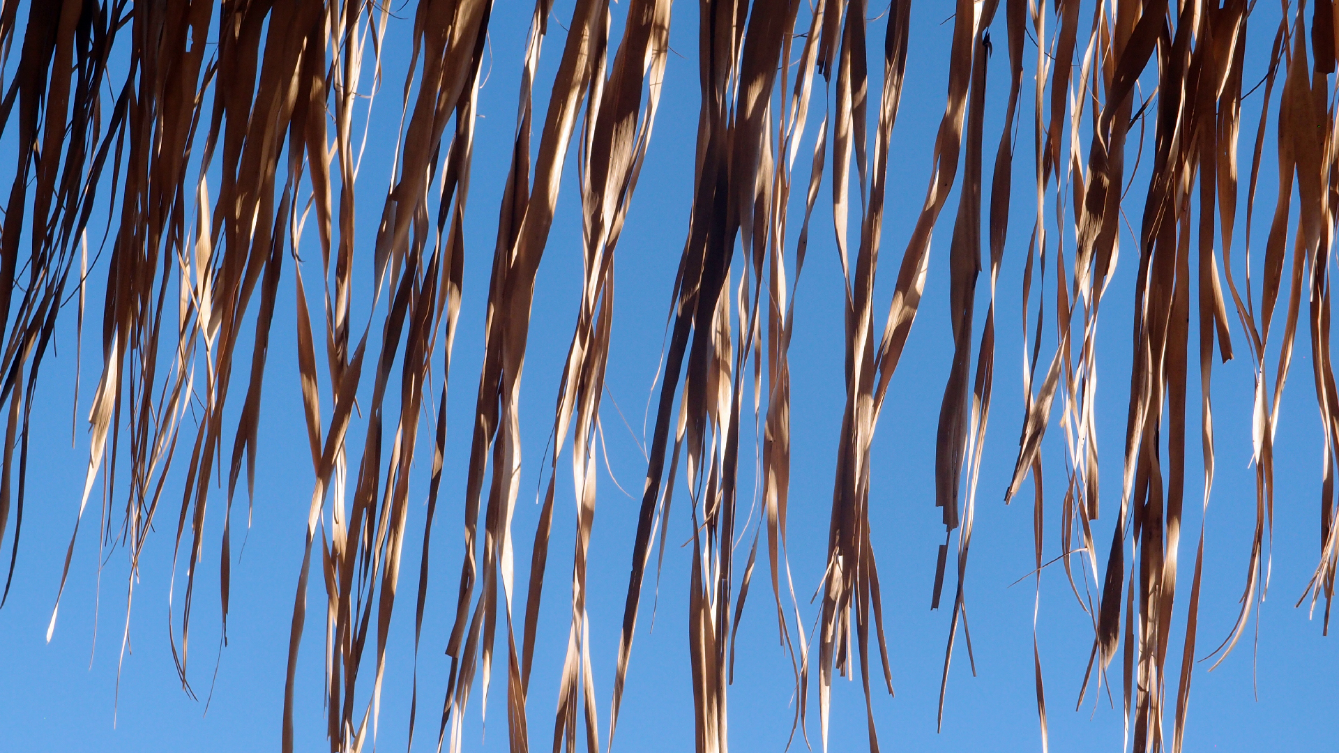 2021-09-11 02 Krios Beach (Foto, Video)