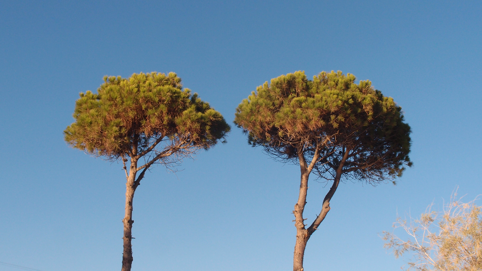 2021-09-11 02 Krios Beach (Foto, Video)