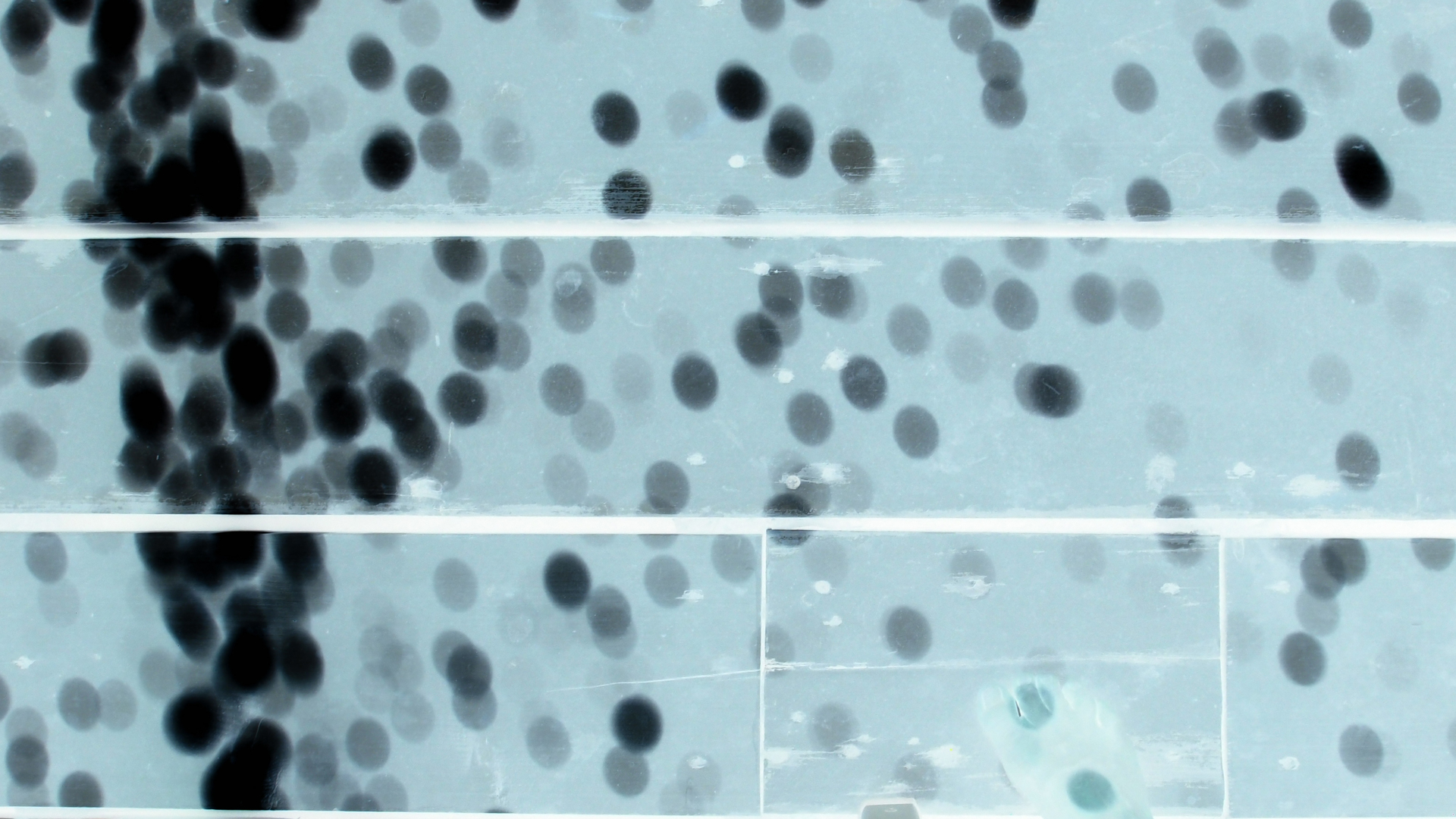 2021-09-16 01 Tango Mar Beachbar (Foto)