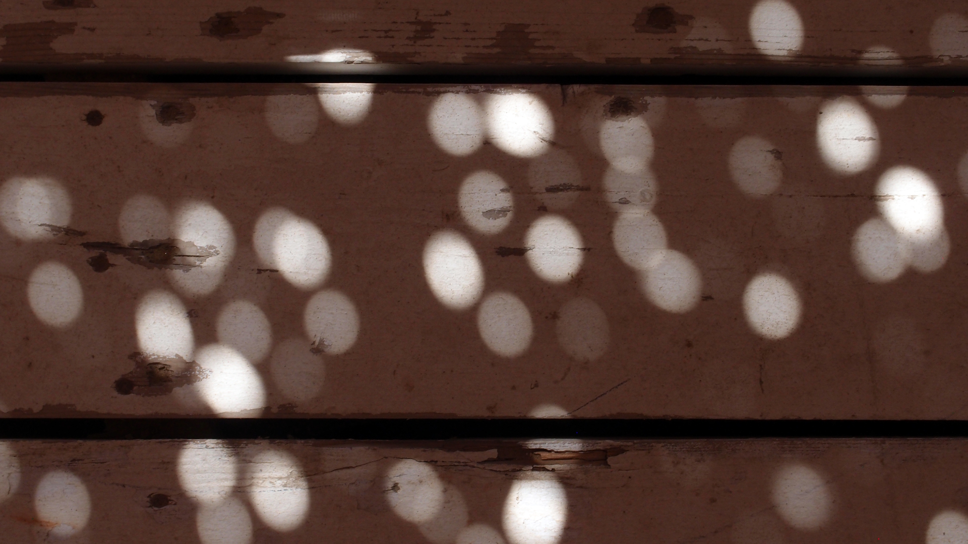 2021-09-16 01 Tango Mar Beachbar (Foto)