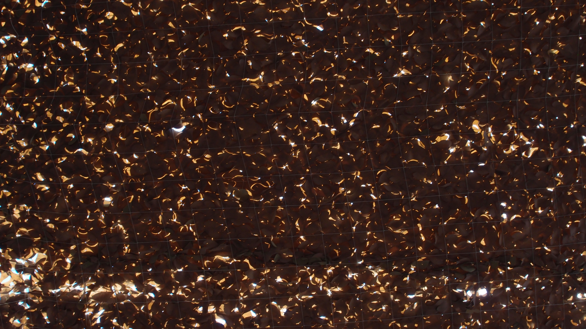 2021-09-16 01 Tango Mar Beachbar (Foto)