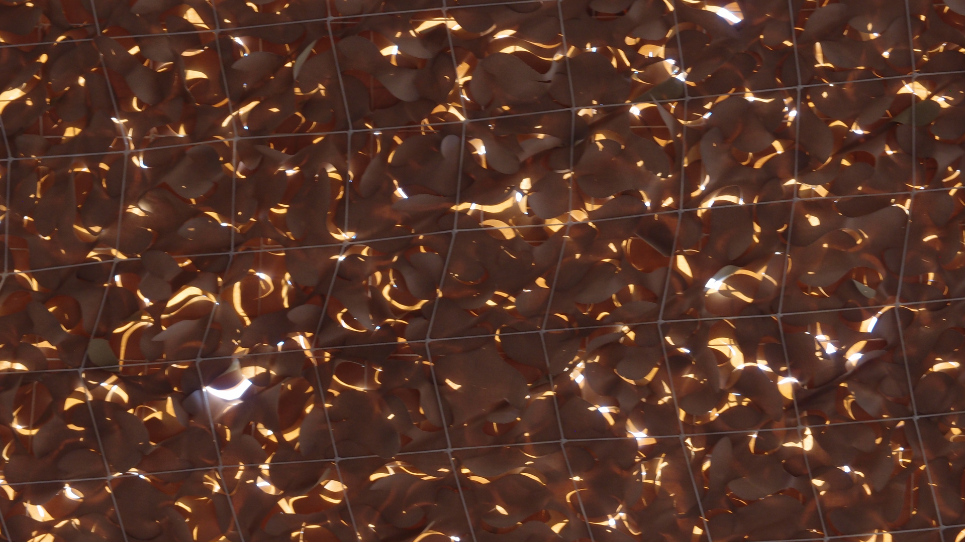 2021-09-16 01 Tango Mar Beachbar (Foto)