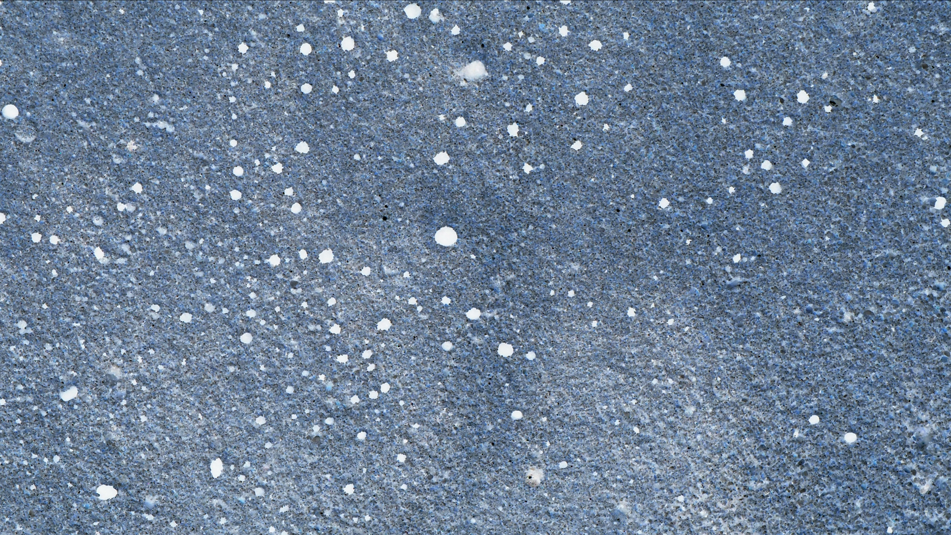 2021-09-17 03 Parasporos Beach Club (Zikaden) (Fieldrecording, Foto, Video)