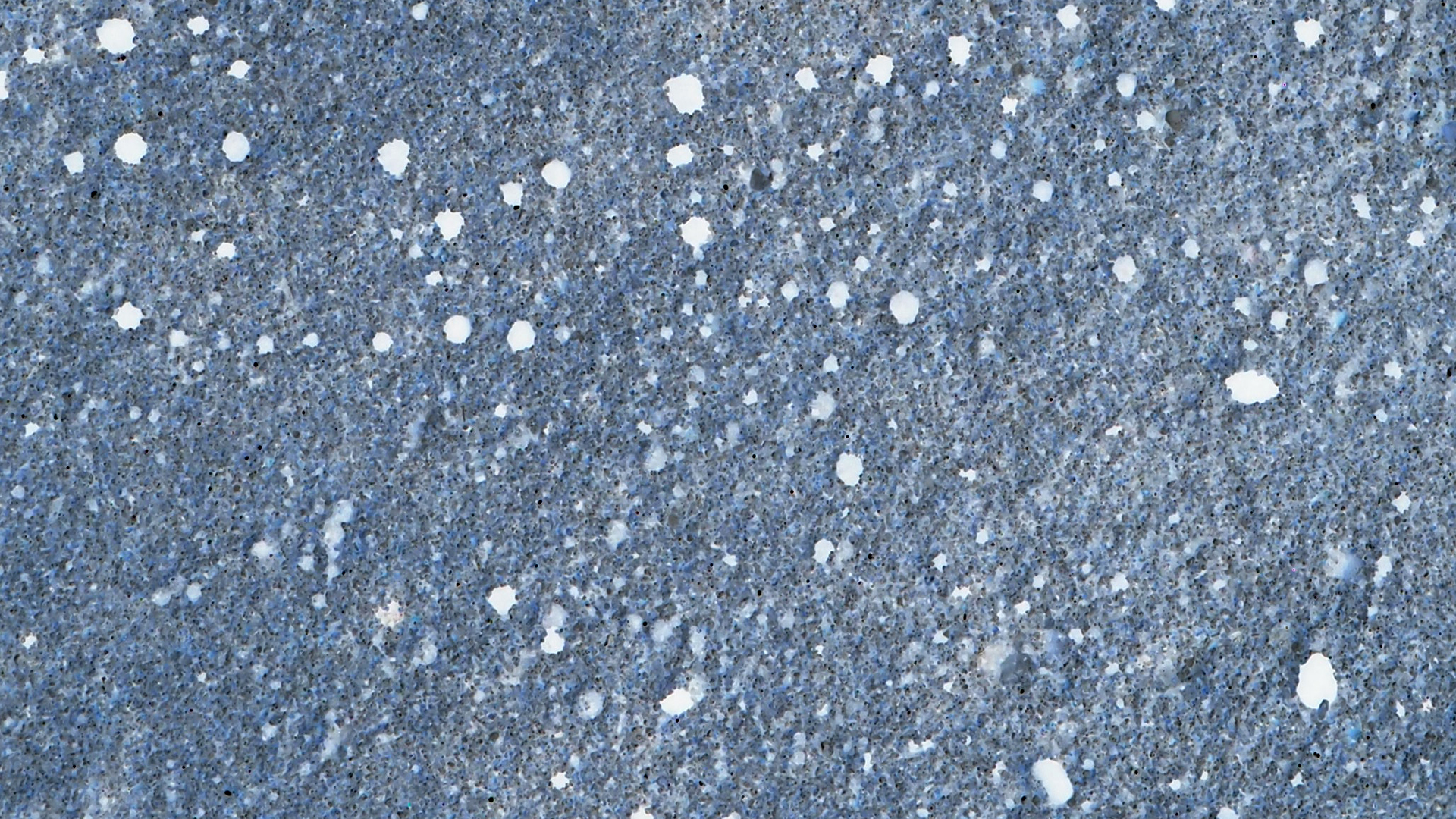 2021-09-17 03 Parasporos Beach Club (Zikaden) (Fieldrecording, Foto, Video)