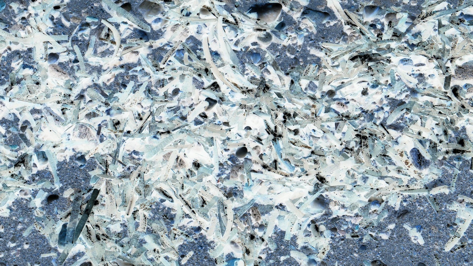 2021-09-17 03 Parasporos Beach Club (Zikaden) (Fieldrecording, Foto, Video)