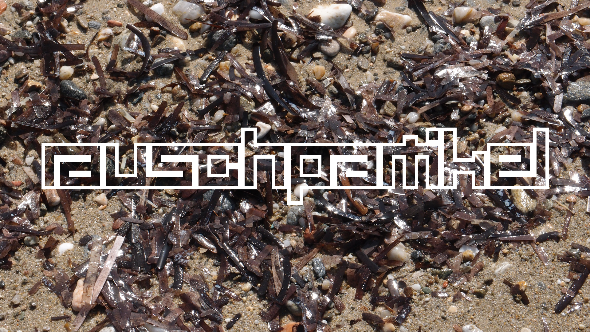 2021-09-17 03 Parasporos Beach Club (Zikaden) (Fieldrecording, Foto, Video)