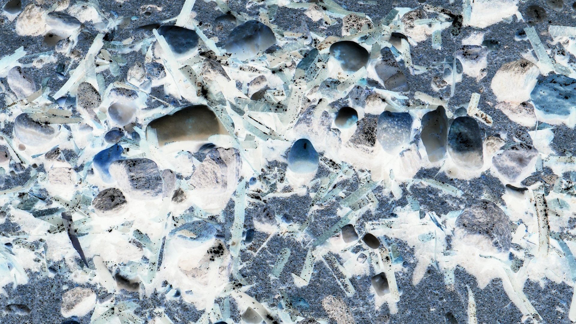 2021-09-17 03 Parasporos Beach Club (Zikaden) (Fieldrecording, Foto, Video)