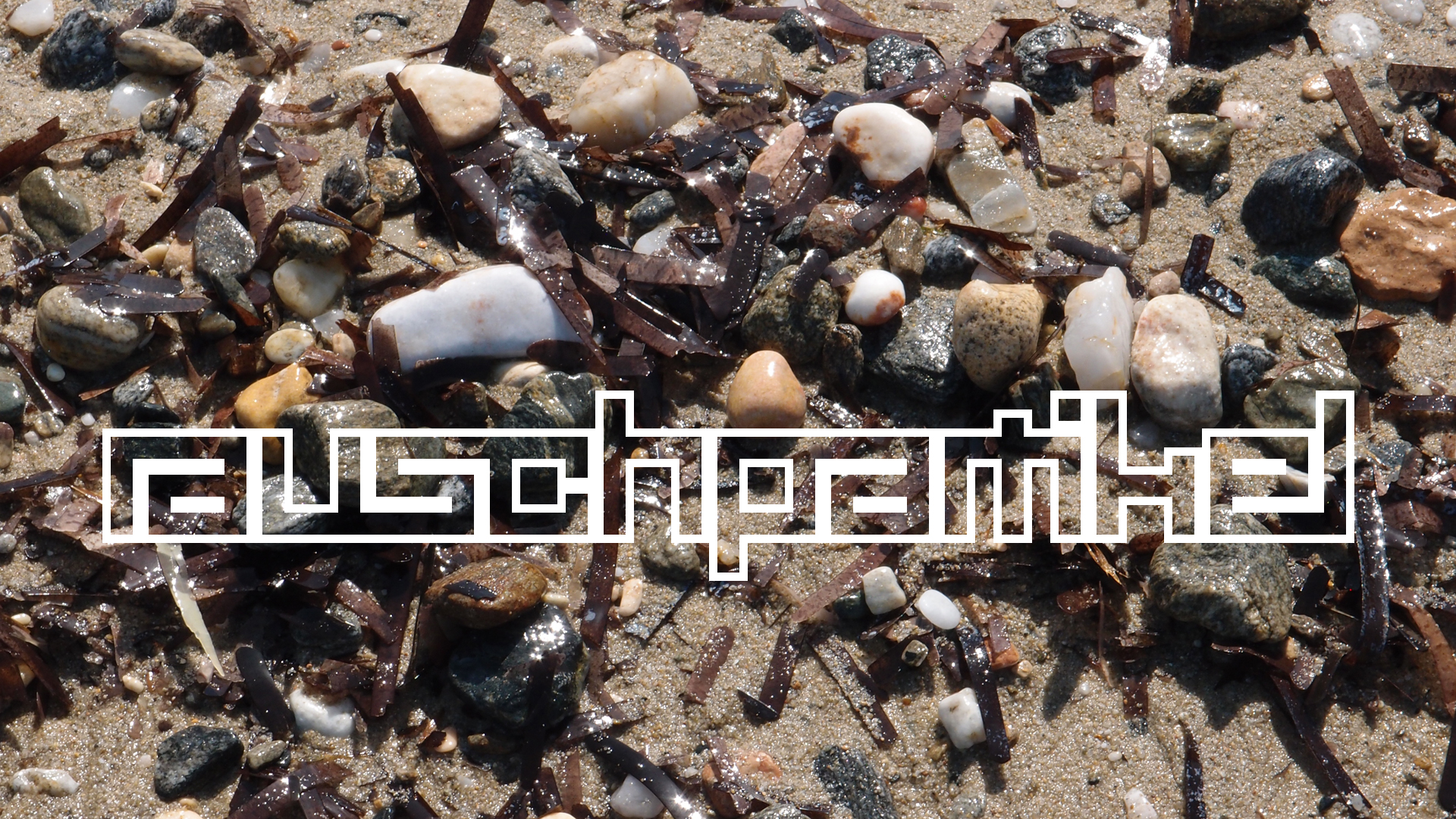 2021-09-17 03 Parasporos Beach Club (Zikaden) (Fieldrecording, Foto, Video)